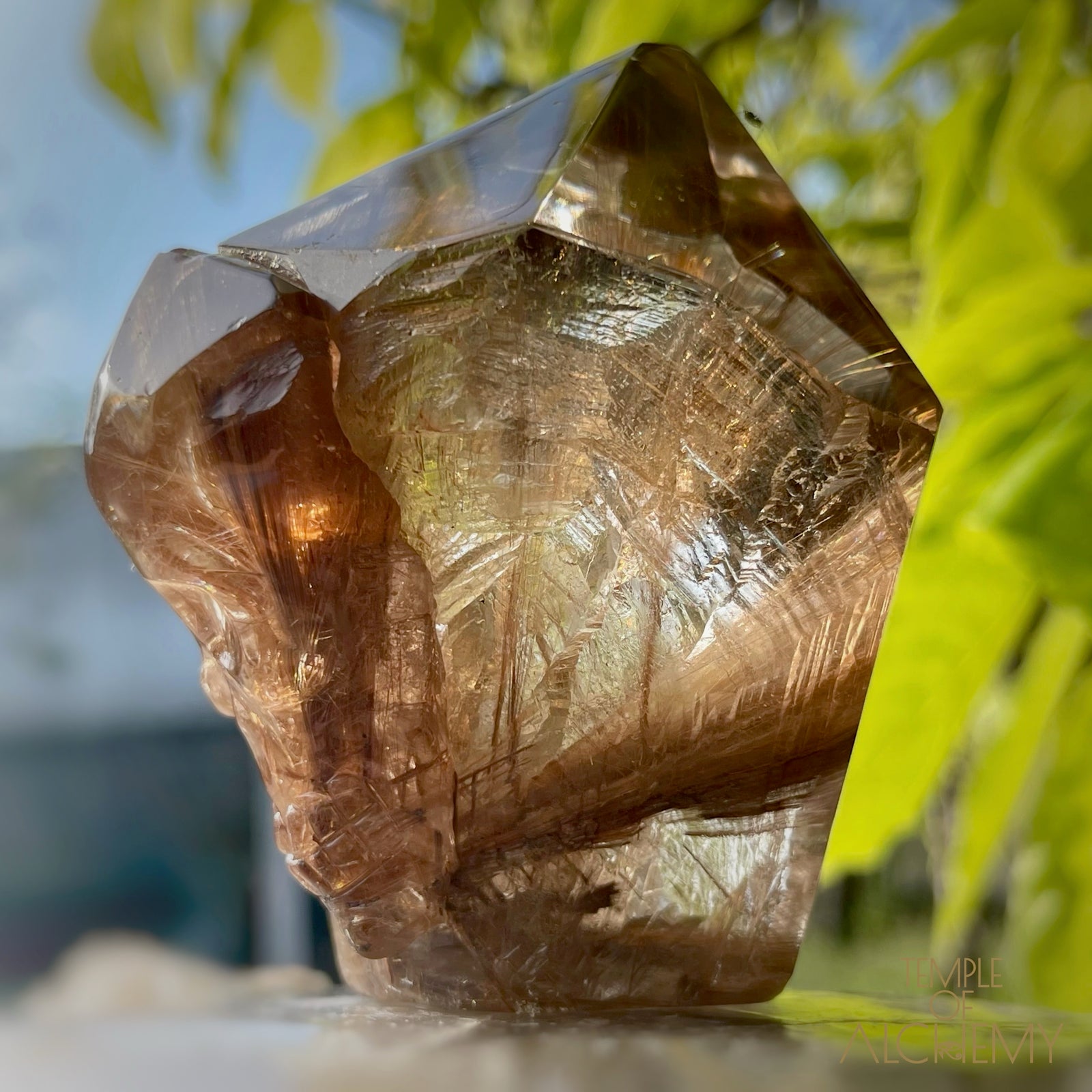 The Power of 2 Beings in 1 π Smoky Citrine x Golden-Copper Rutiles