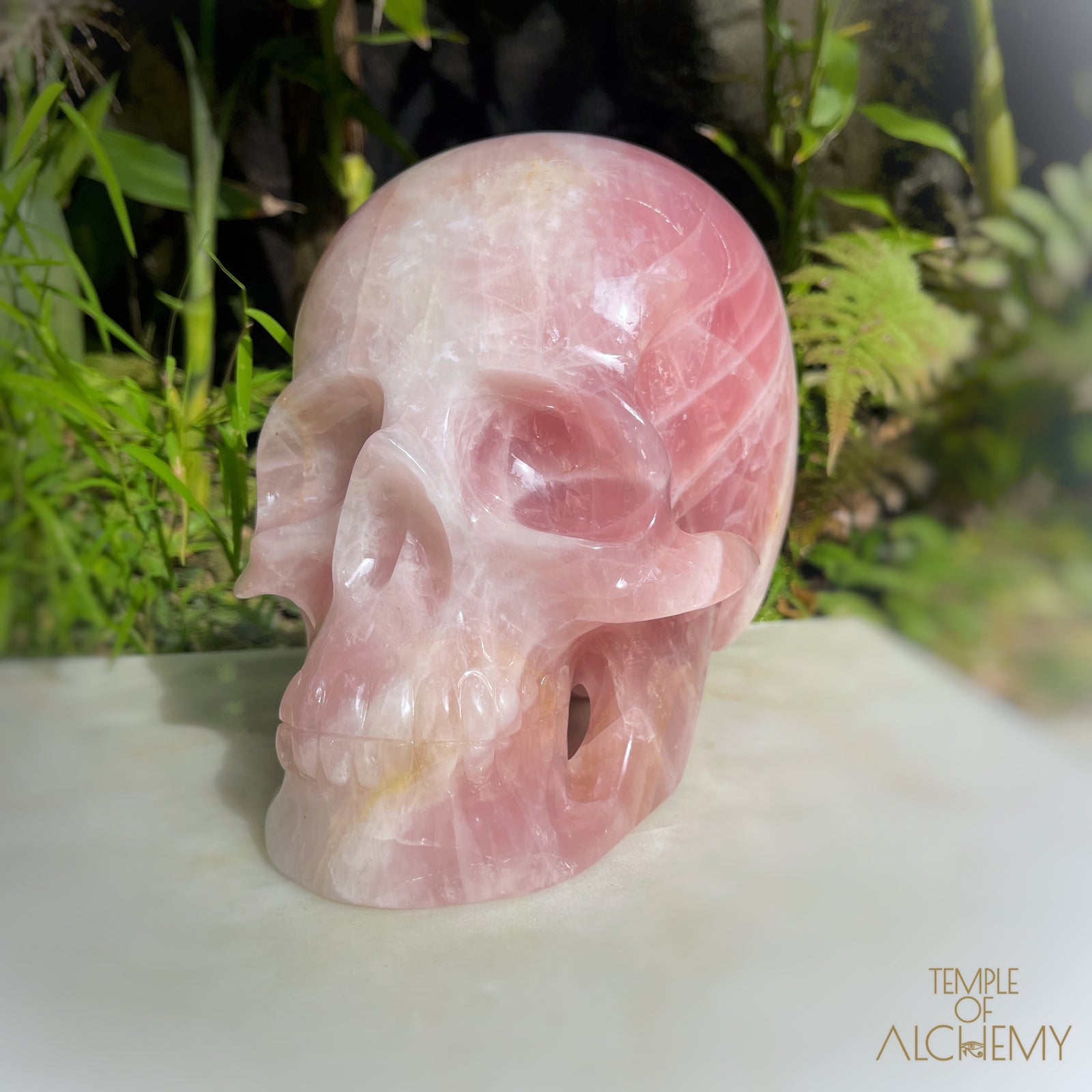 Star Rose Quartz