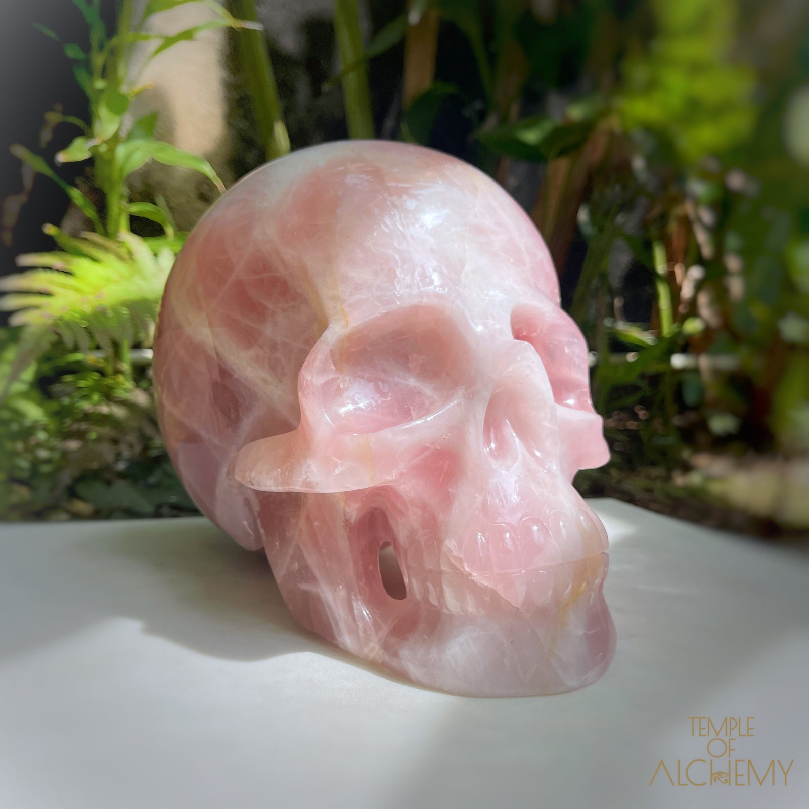 Star Rose Quartz