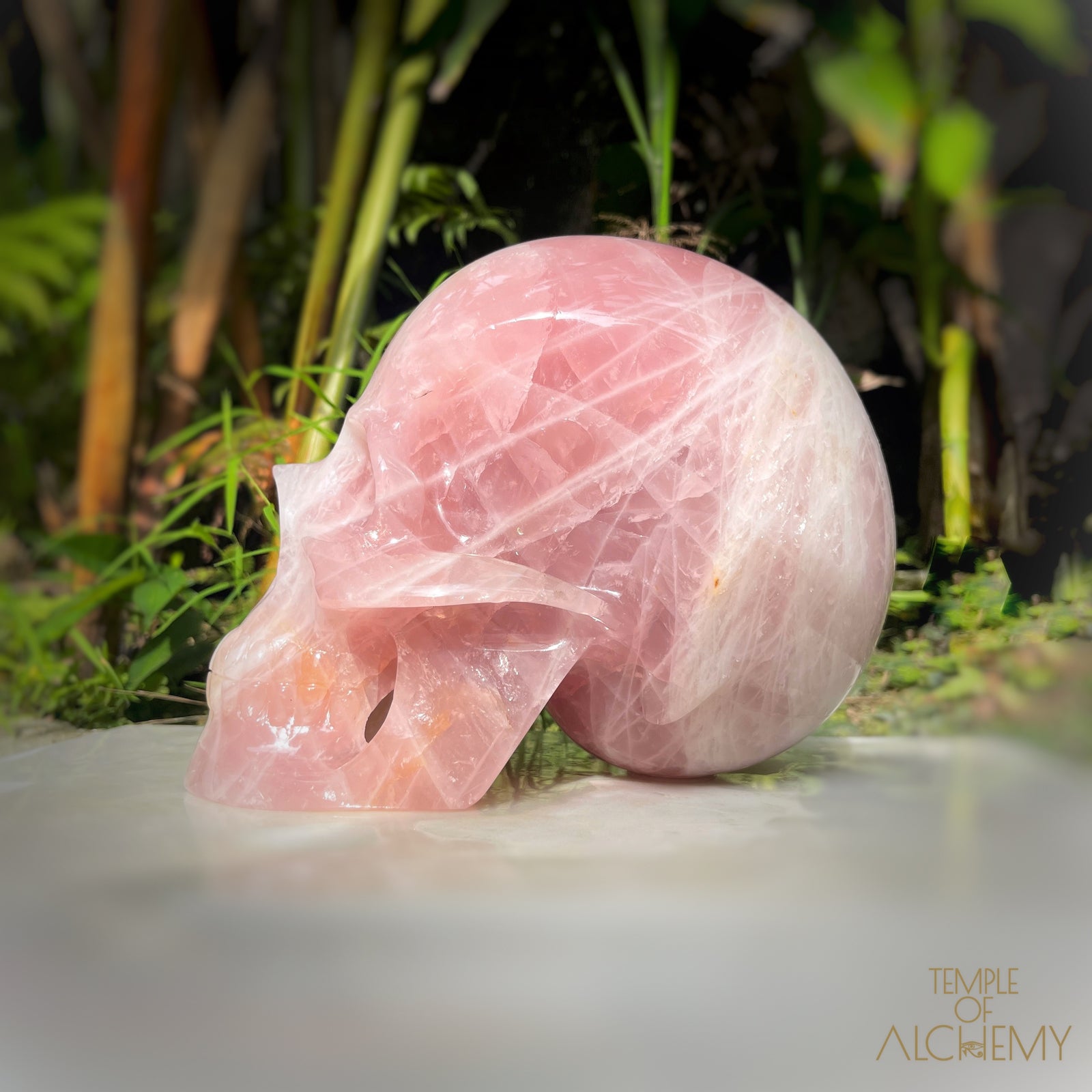 Star Rose Quartz