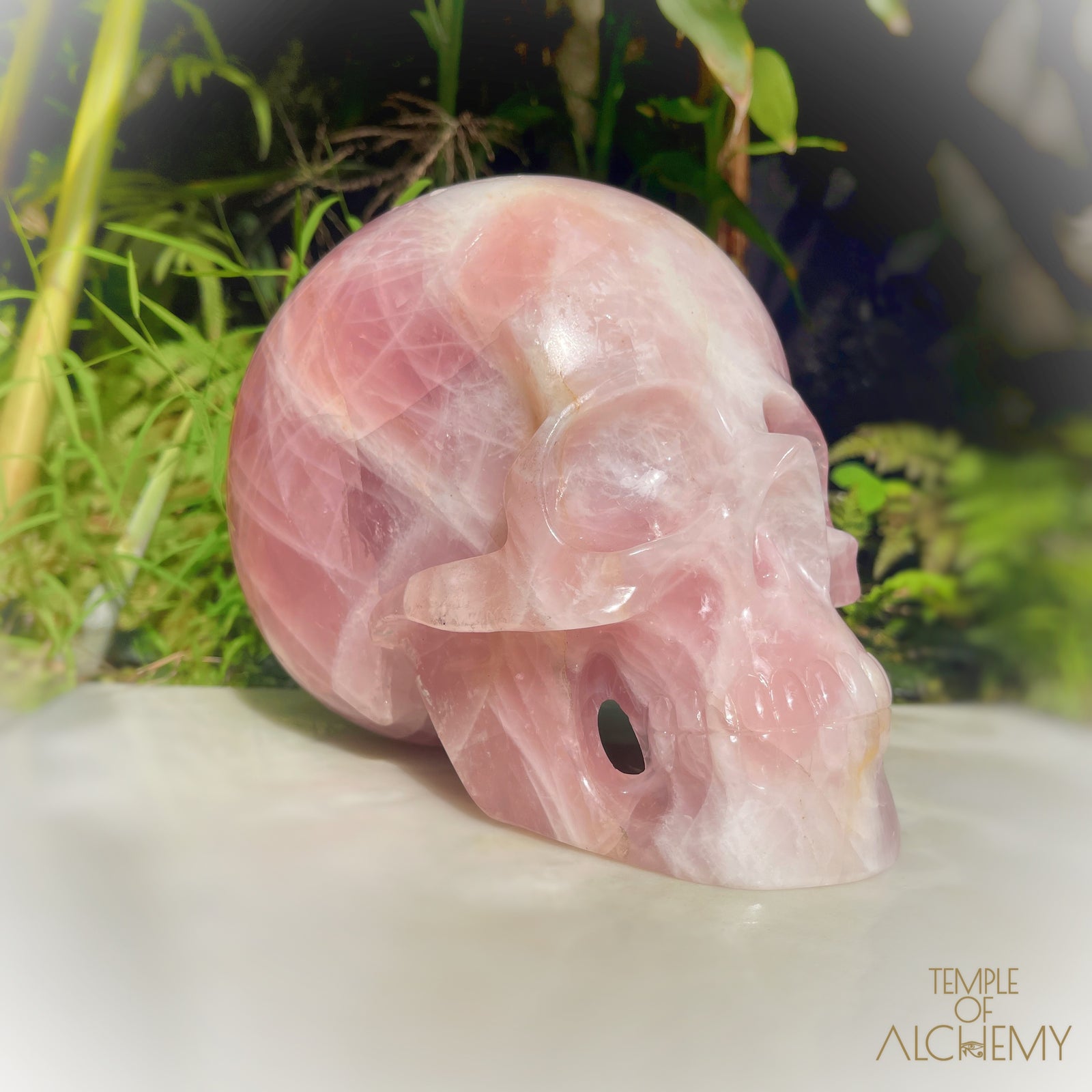 Star Rose Quartz