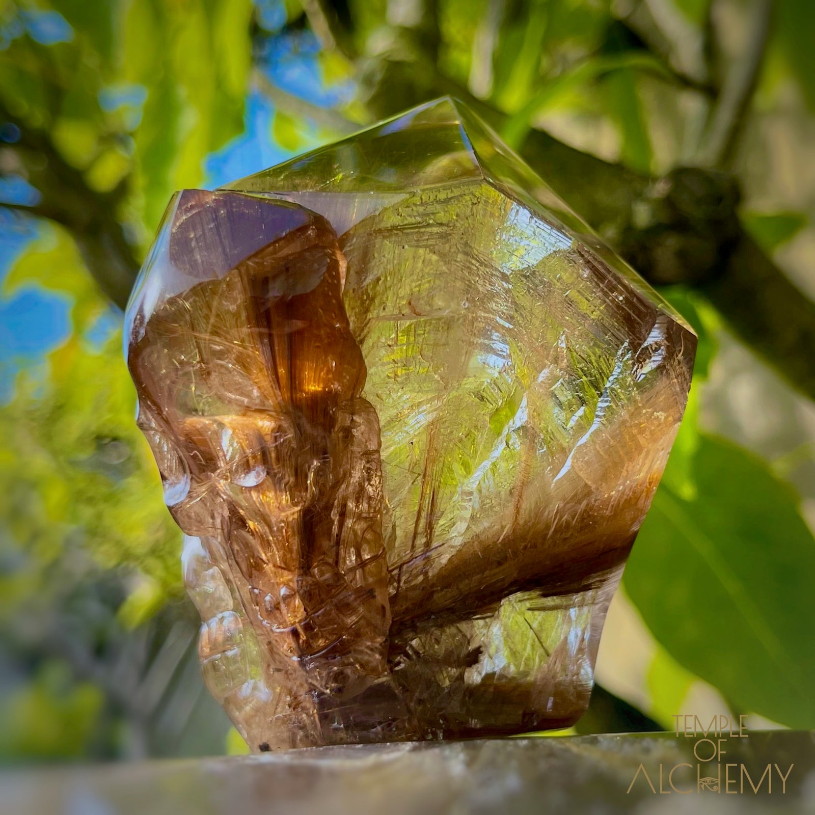 The Power of 2 Beings in 1 π Smoky Citrine x Golden-Copper Rutiles