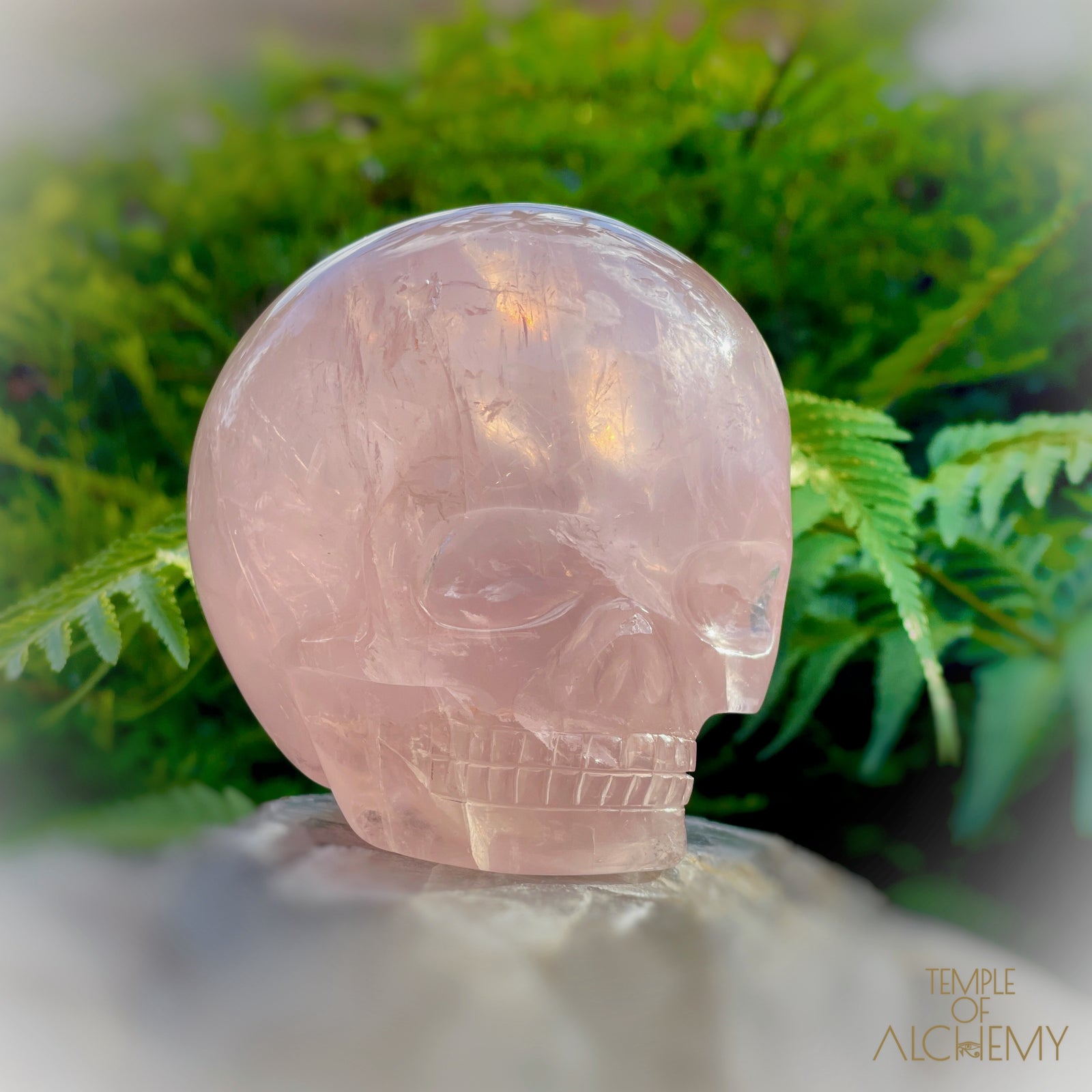 Star Rose Quartz