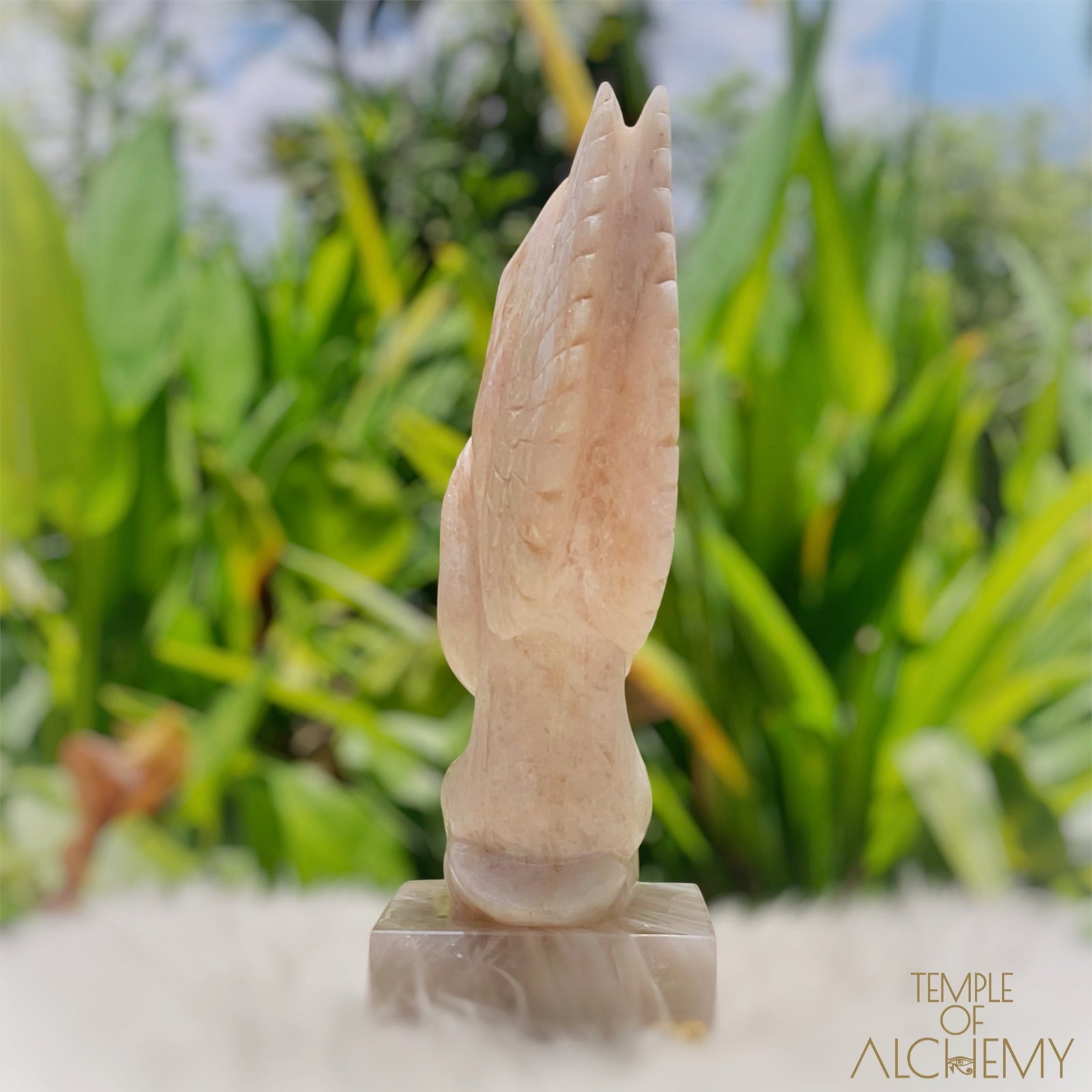 Raphaela 𓆃 The Healing of God