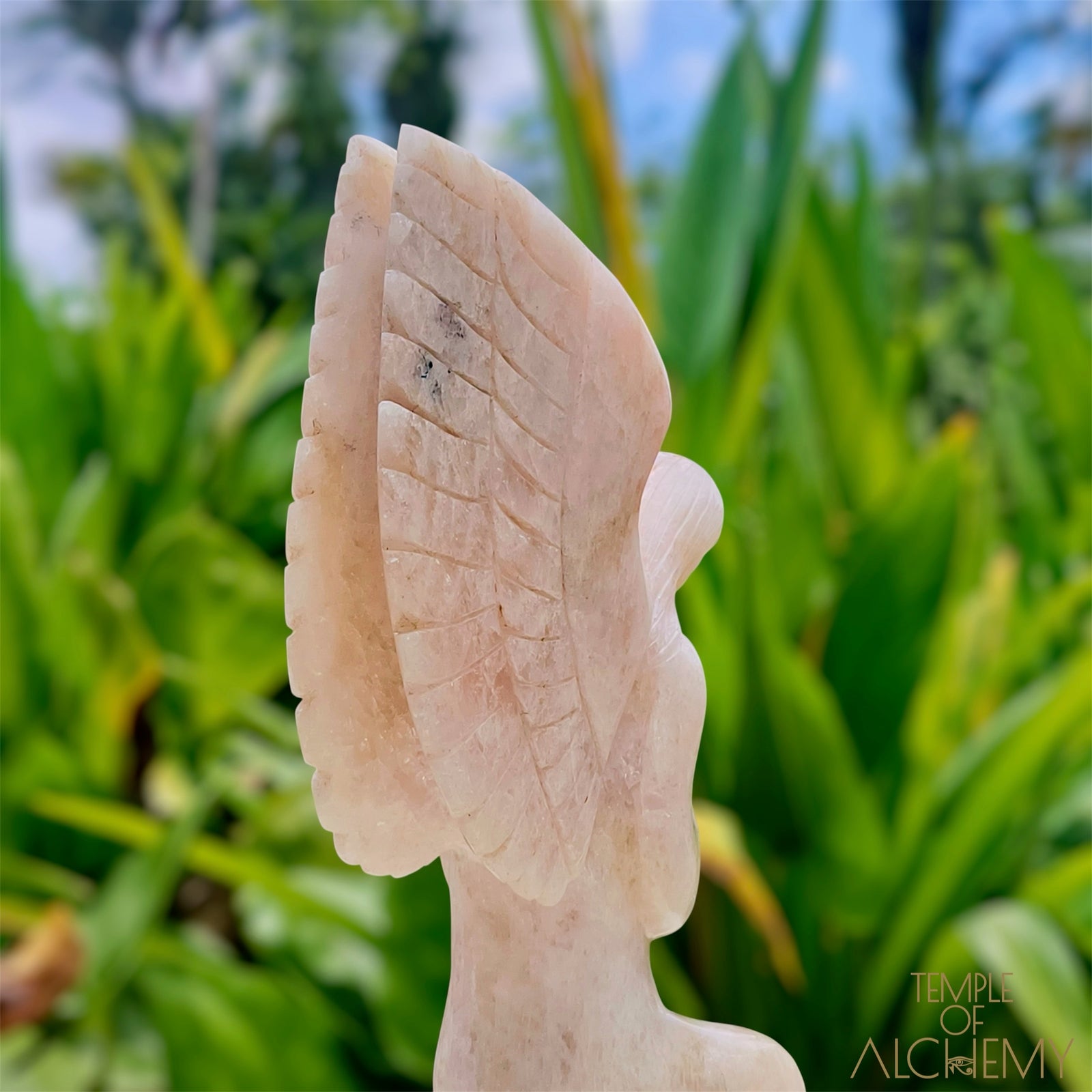 Raphaela 𓆃 The Healing of God