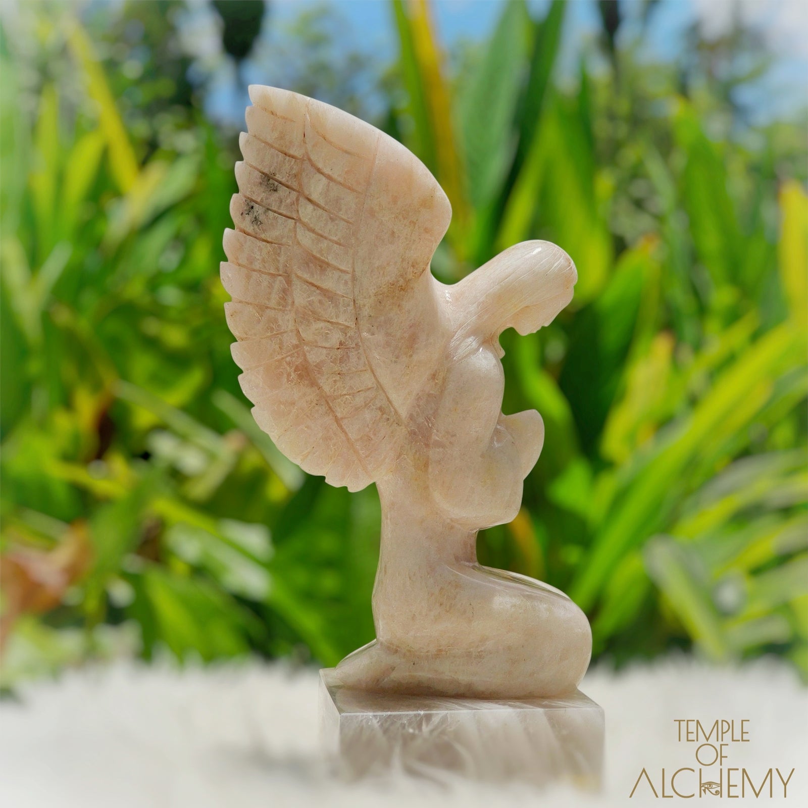 Raphaela 𓆃 The Healing of God