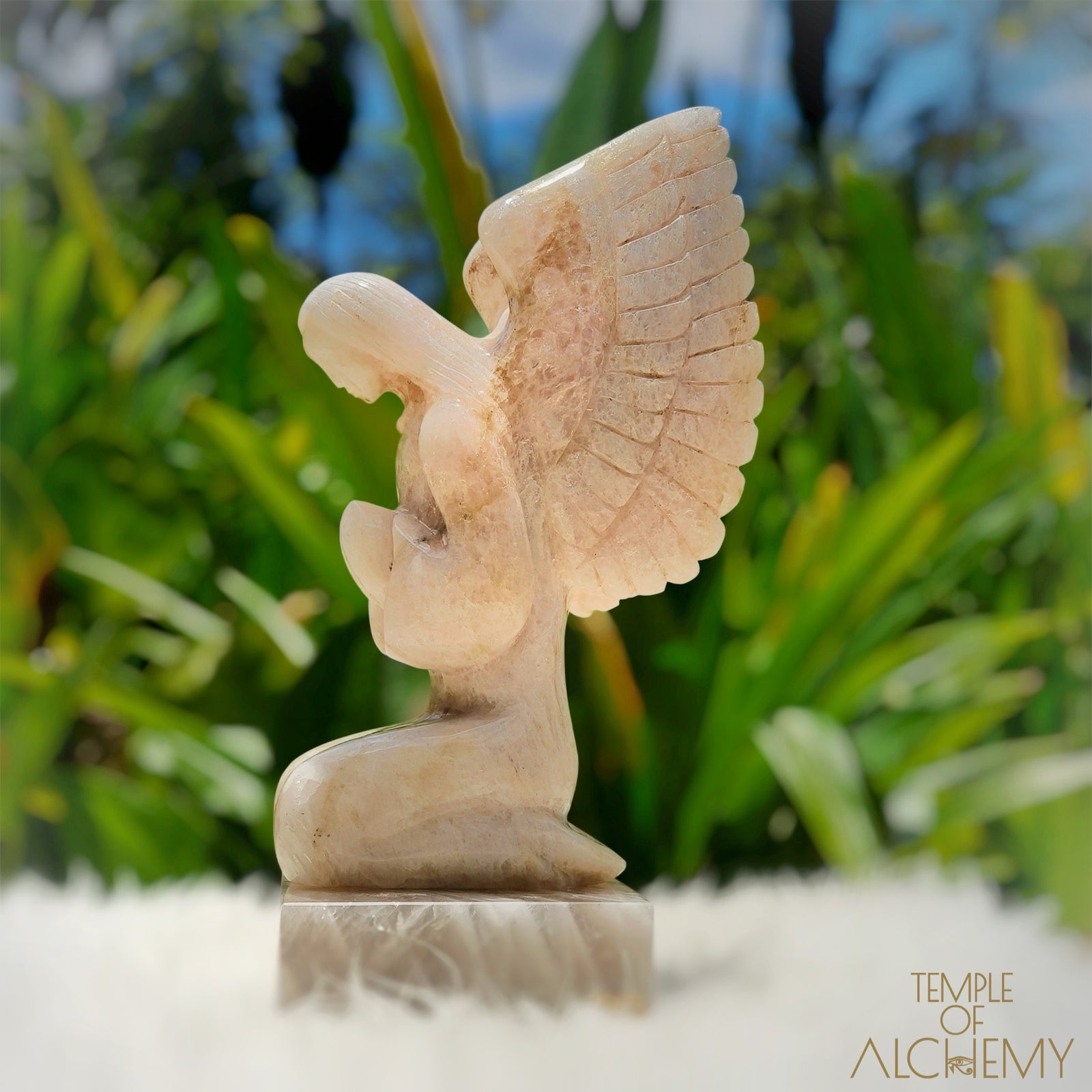 Raphaela 𓆃 The Healing of God