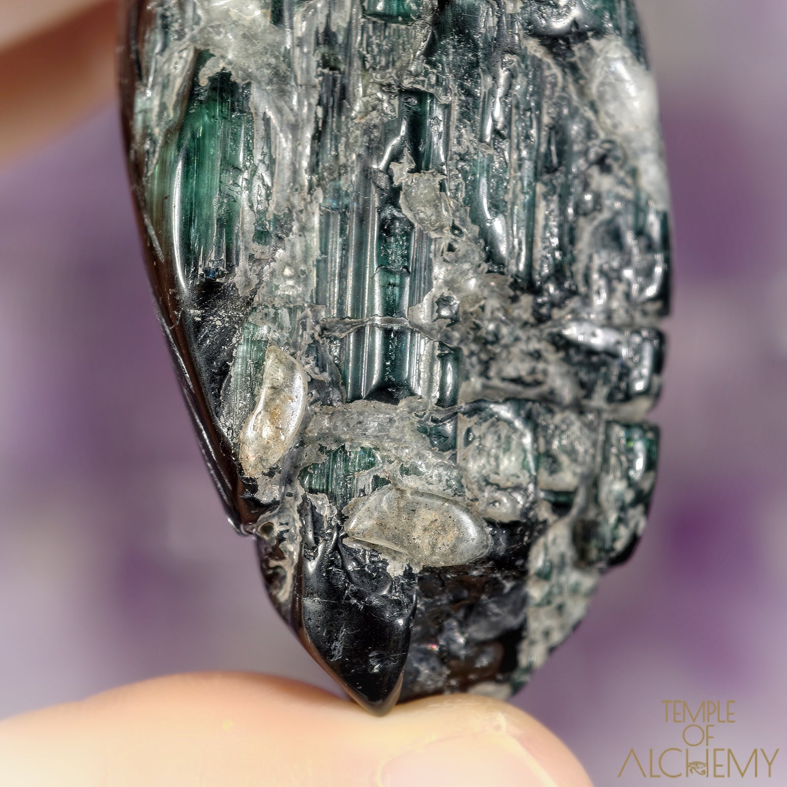 The Seer's Lantern 𓆃 Cat's Eye Indicolite