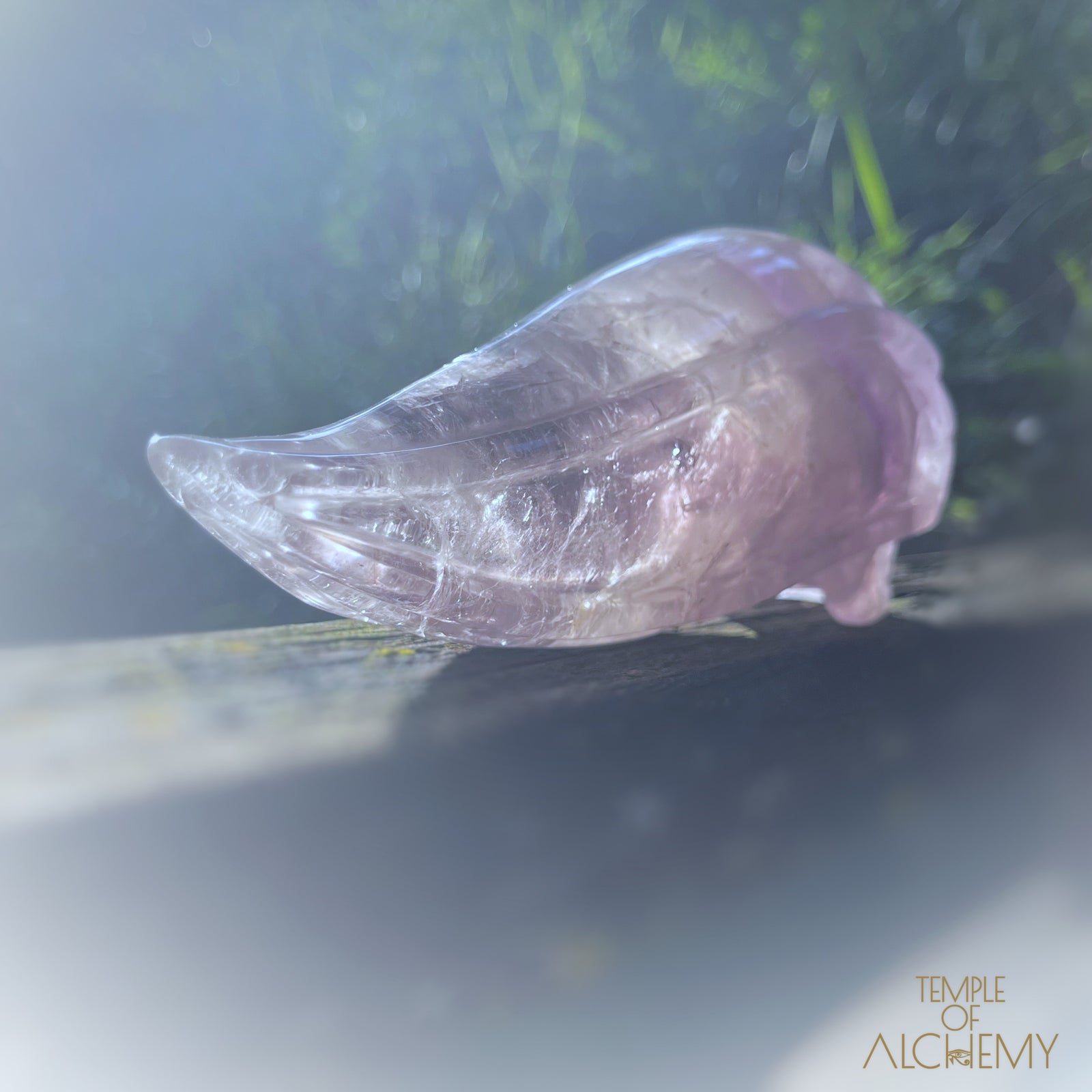 Phantom Amethyst