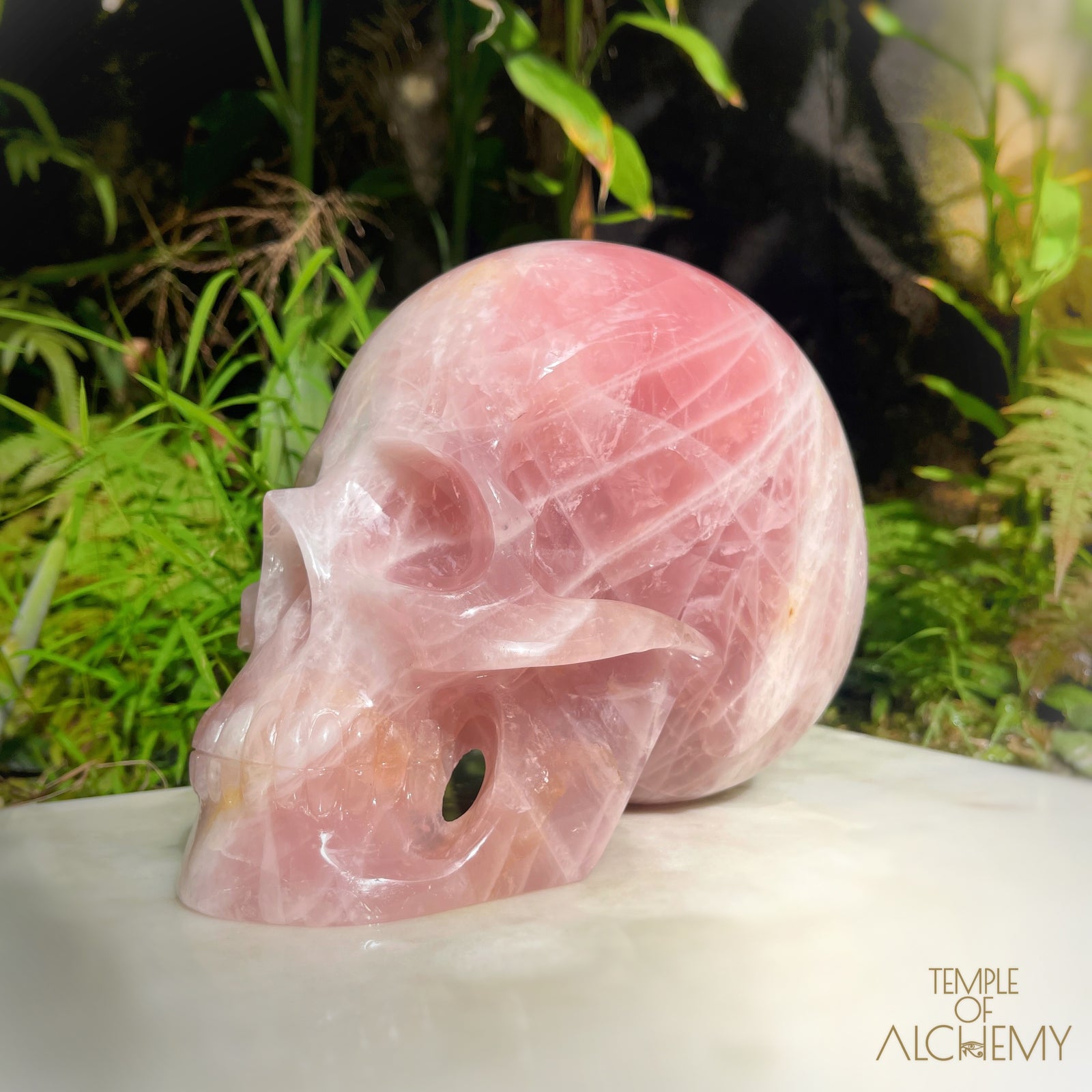 Star Rose Quartz