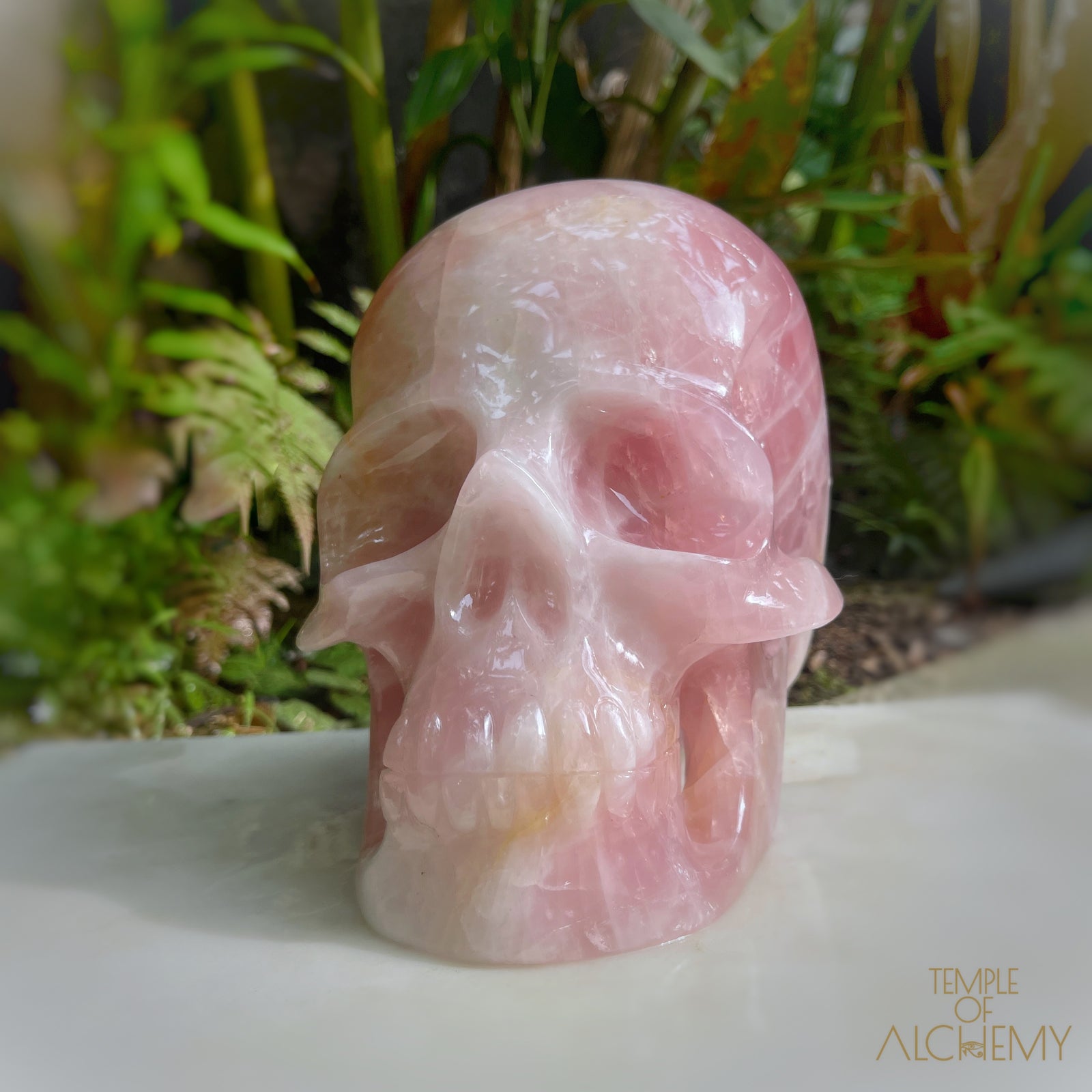 Star Rose Quartz