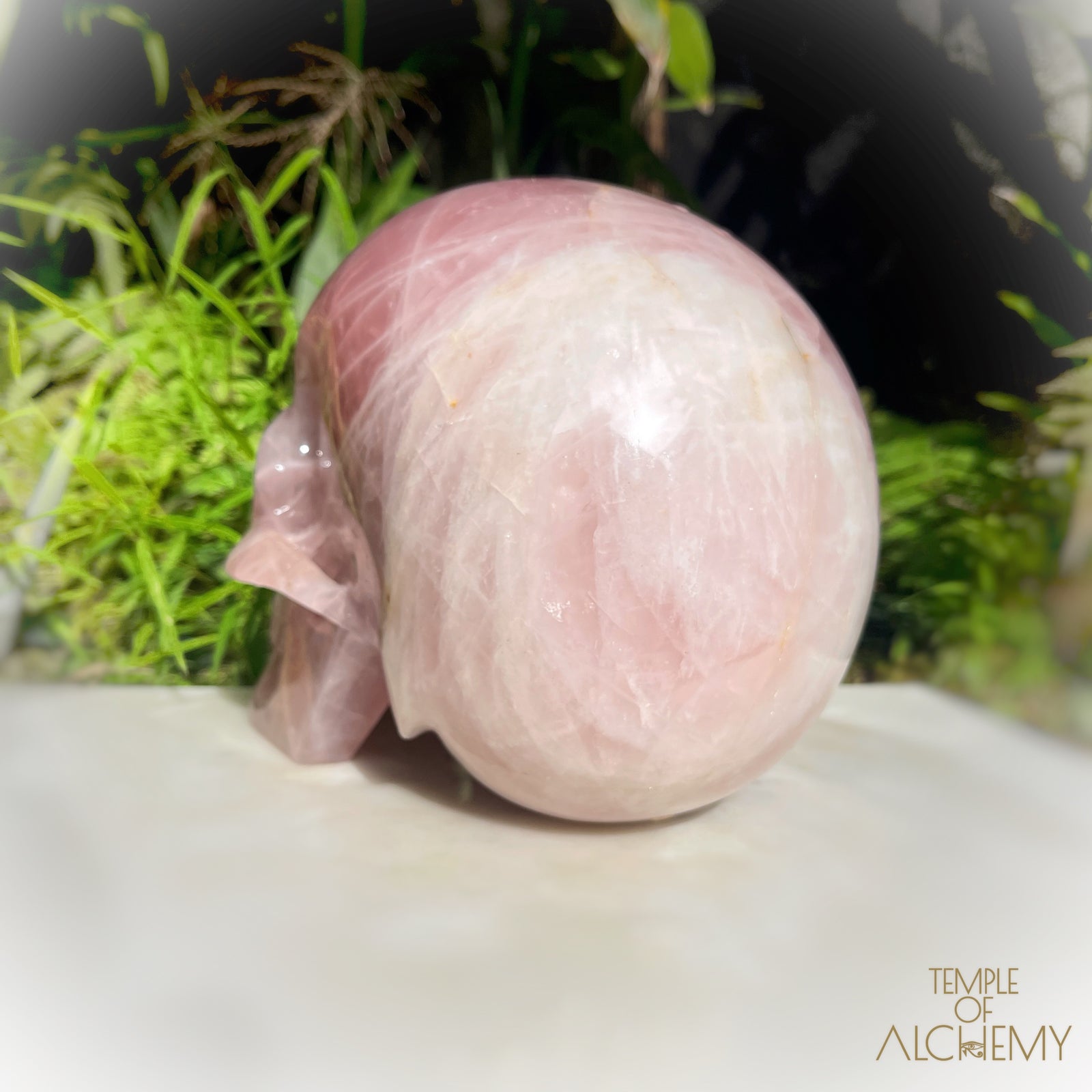 Star Rose Quartz