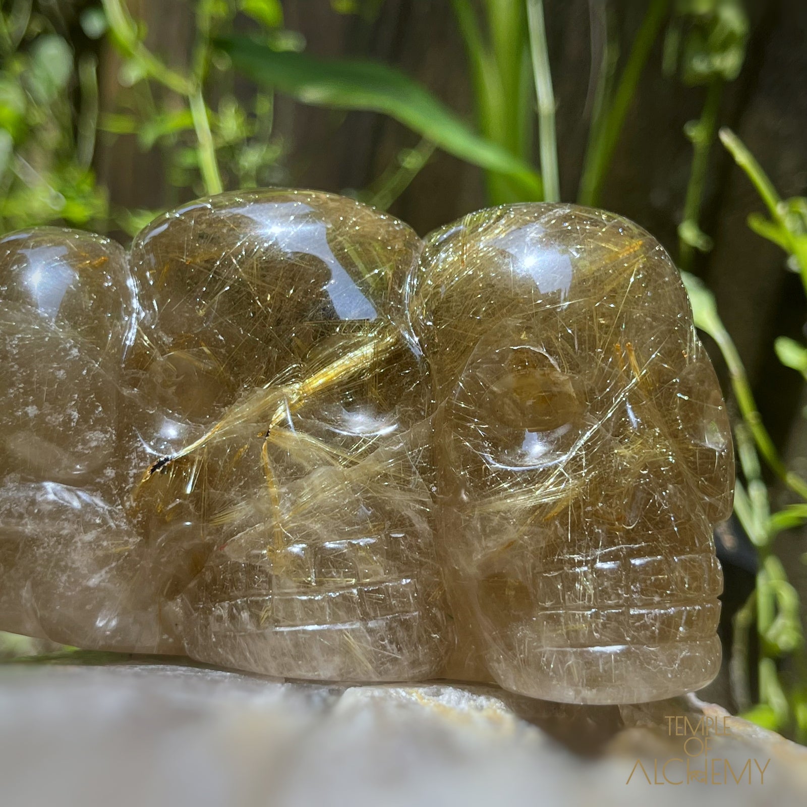 Smoky Citrine x Golden Rutiles