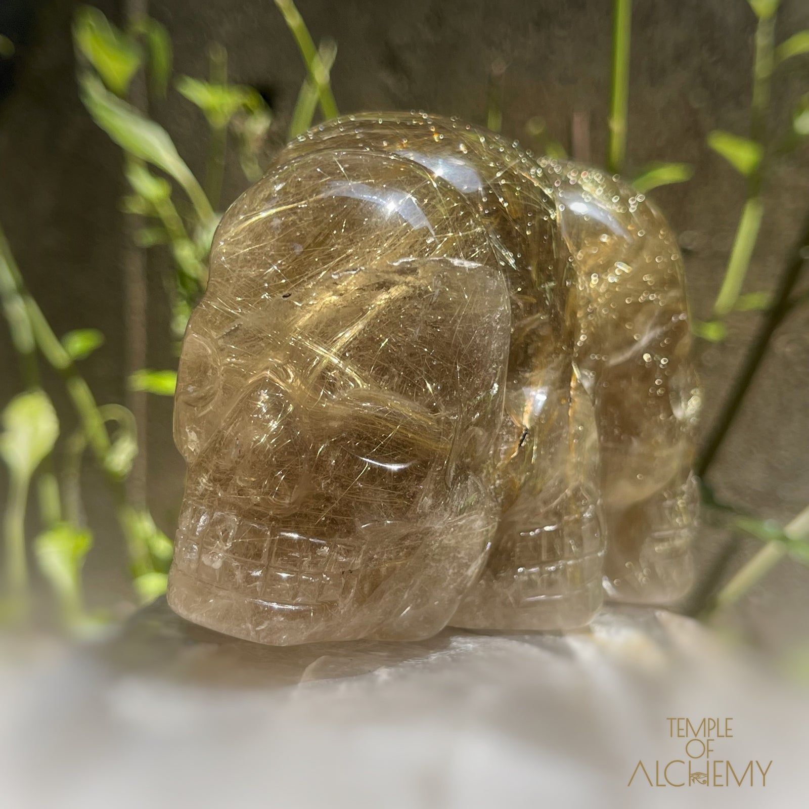 Smoky Citrine x Golden Rutiles