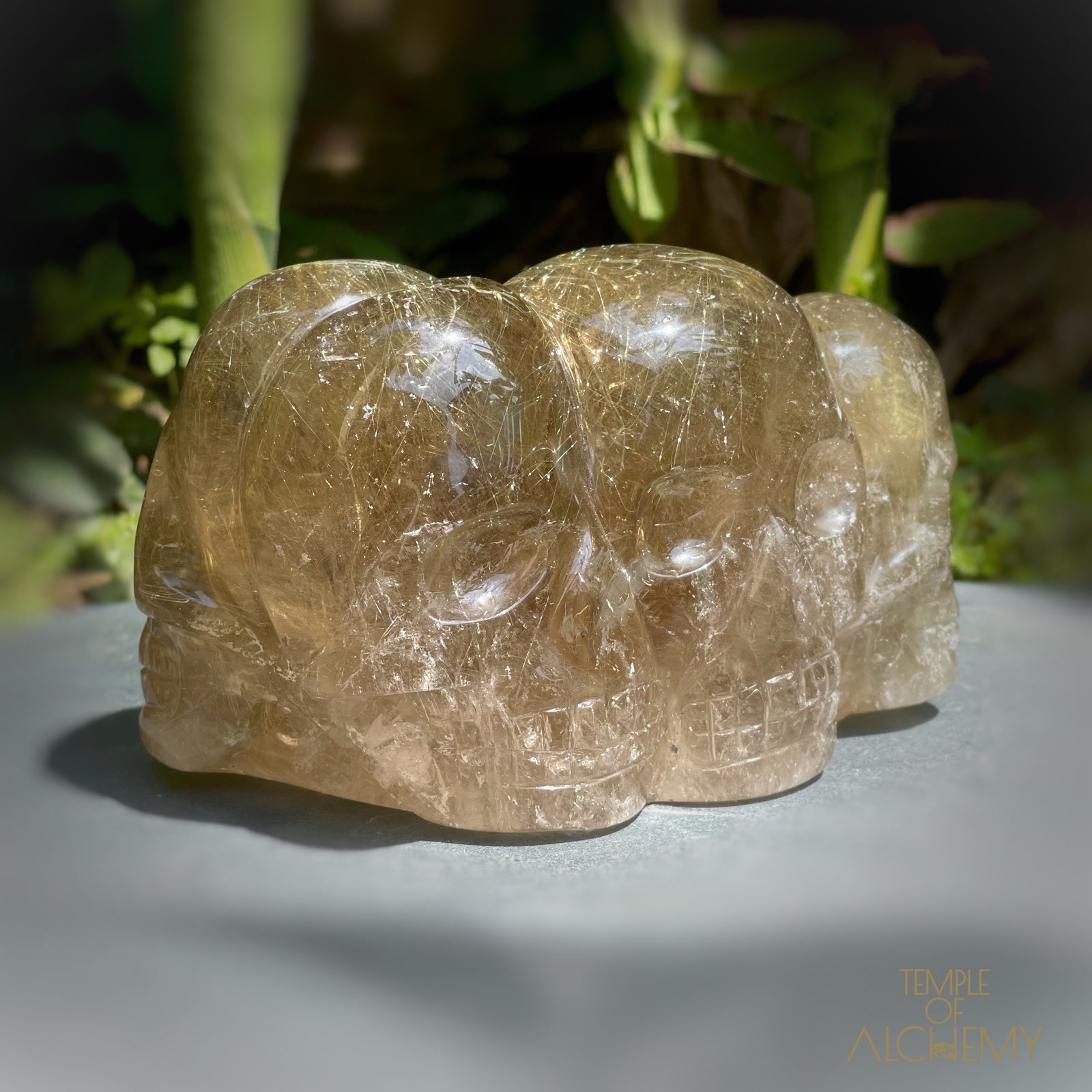 Smoky Citrine x Golden Rutiles