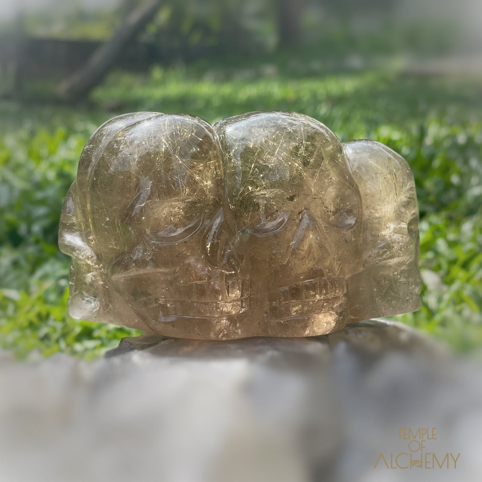 Smoky Citrine x Golden Rutiles