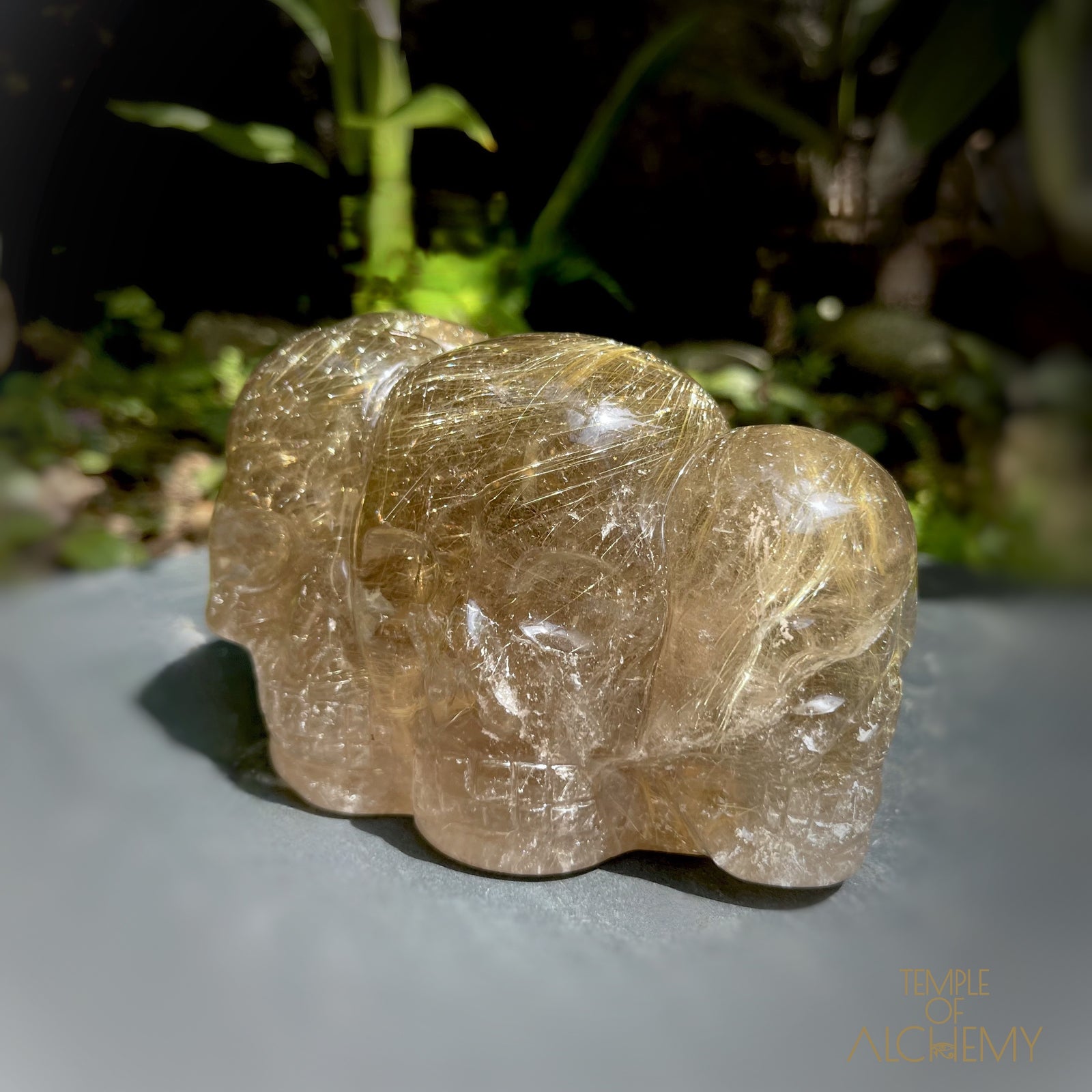 Smoky Citrine x Golden Rutiles