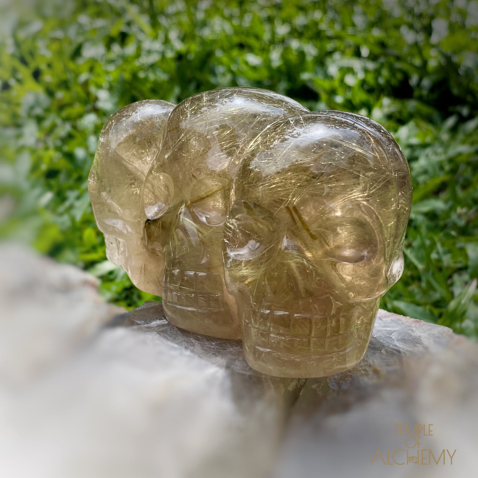 Smoky Citrine x Golden Rutiles