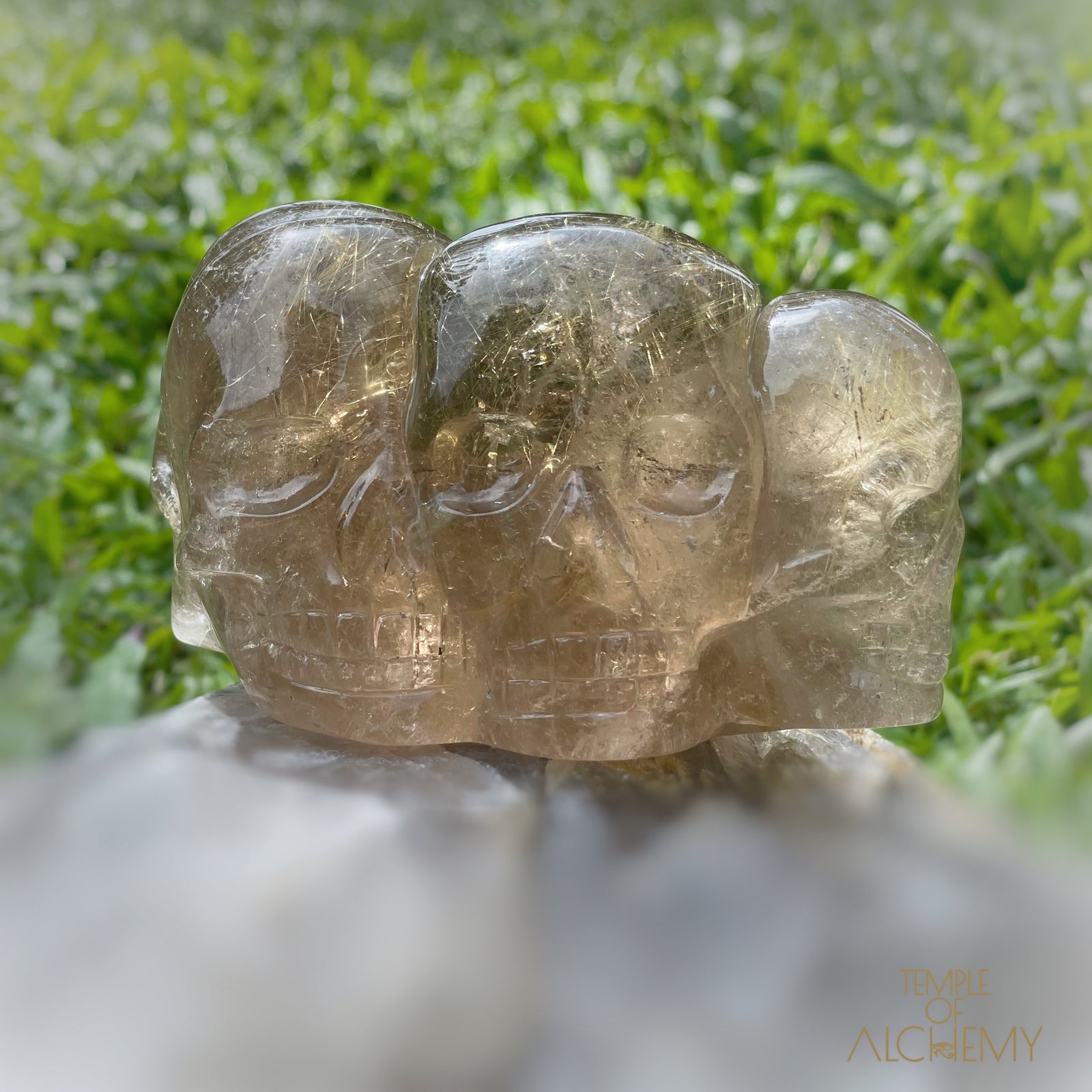 Smoky Citrine x Golden Rutiles