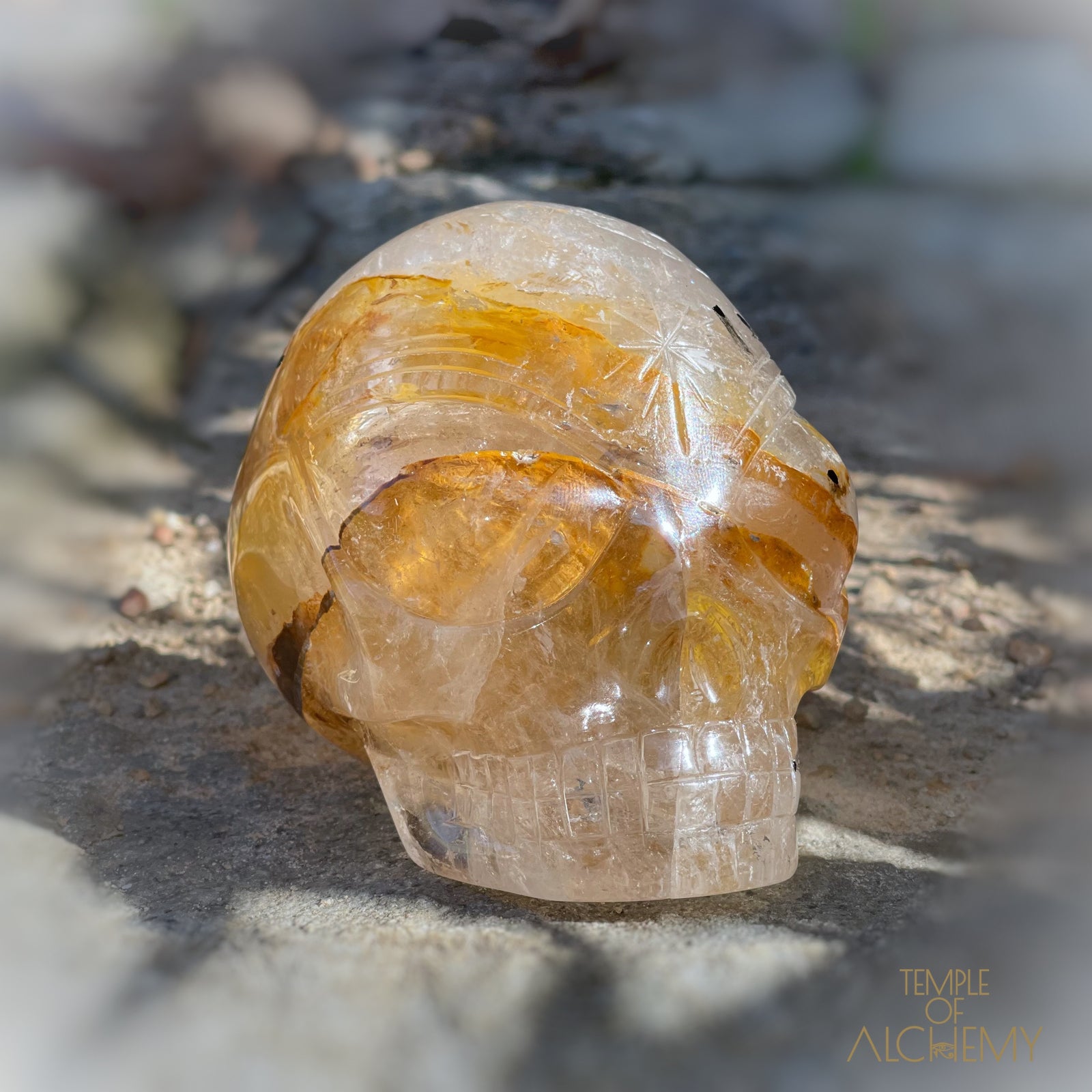 Golden Healer x Black Tourmaline