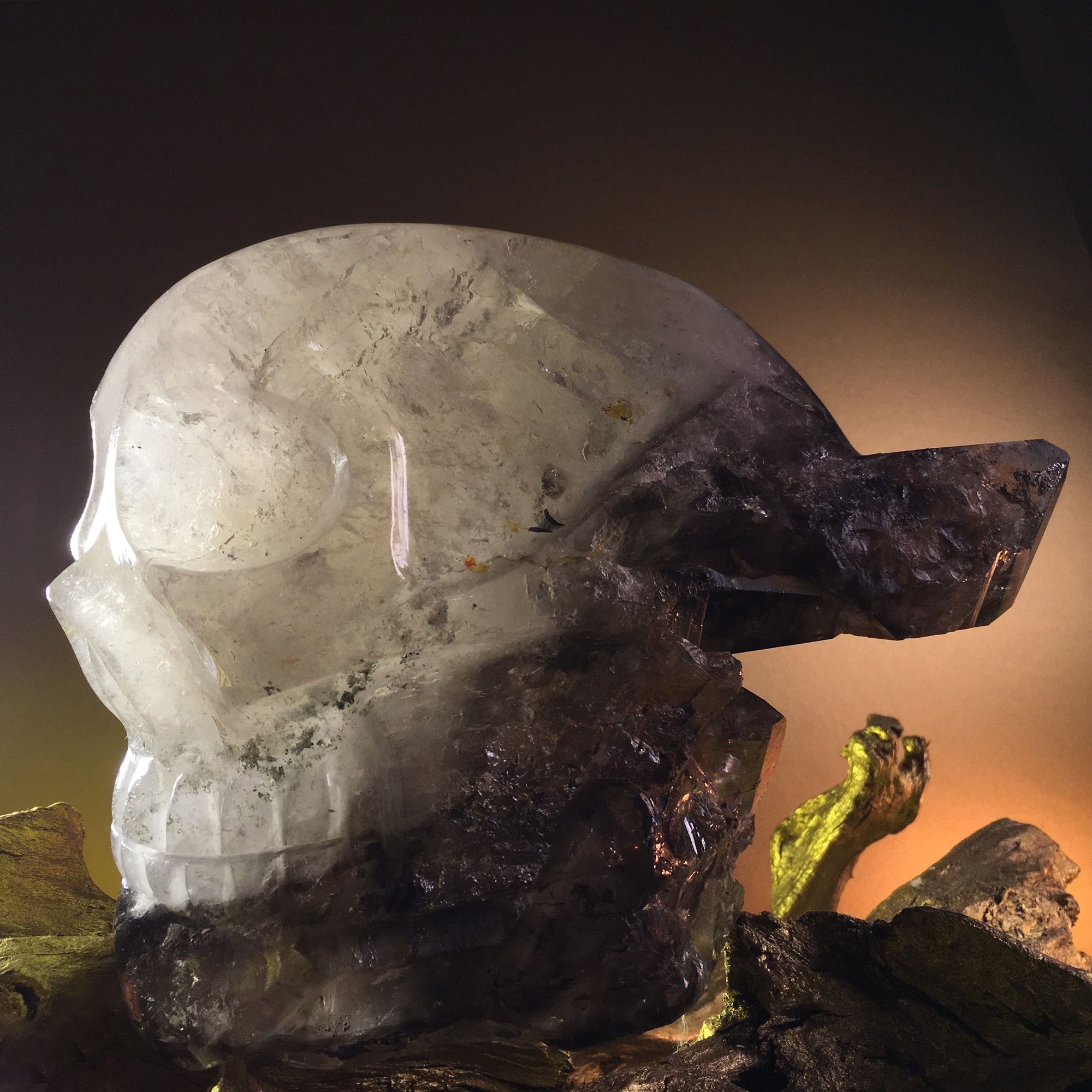 Smokey Elestial - crystal skull - Leandro de Souza - 16