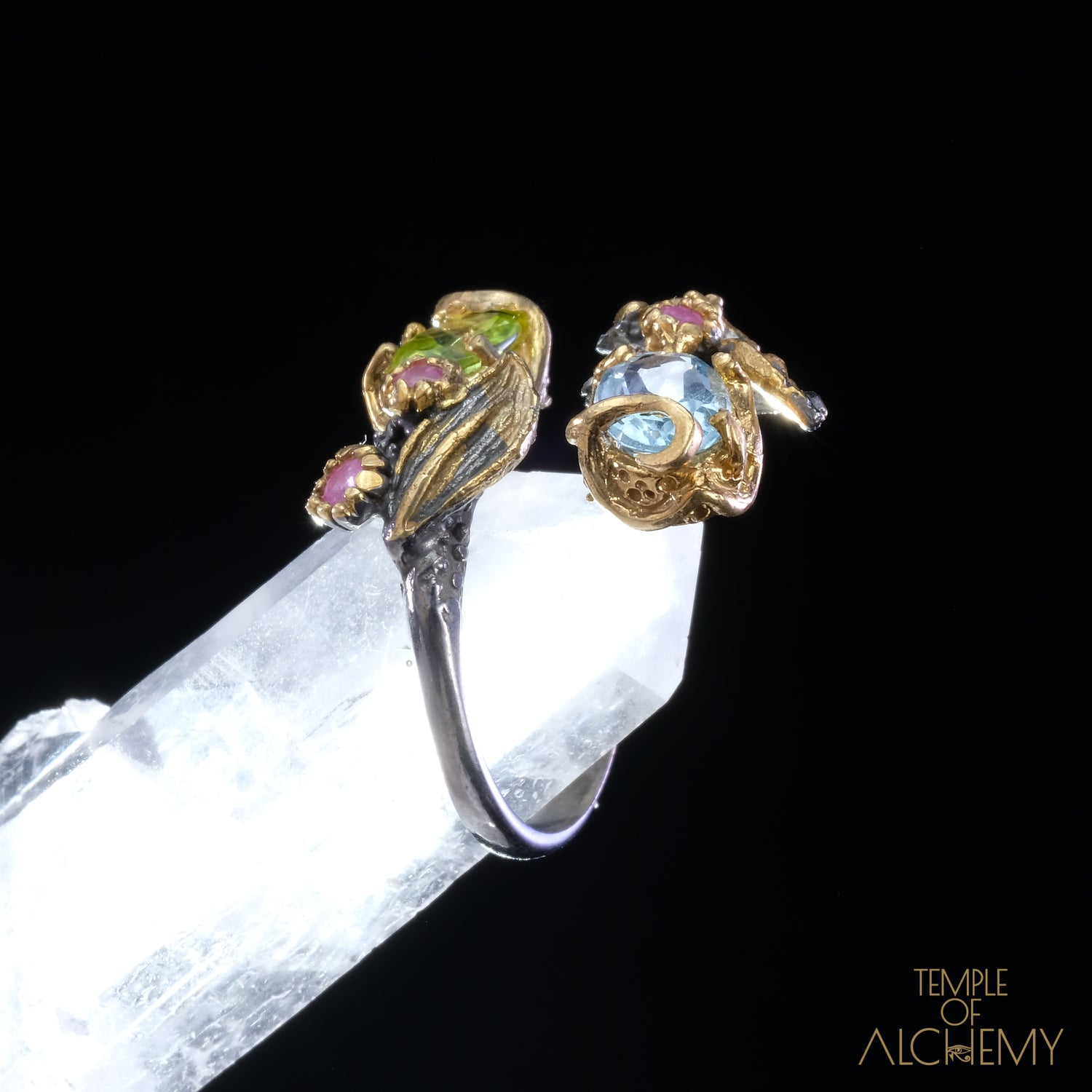 Abundance & Spiritual Insight