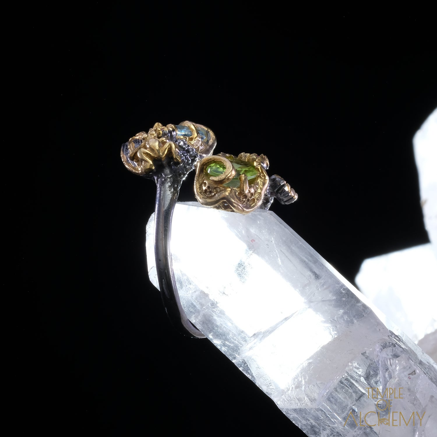 Abundance & Spiritual Insight