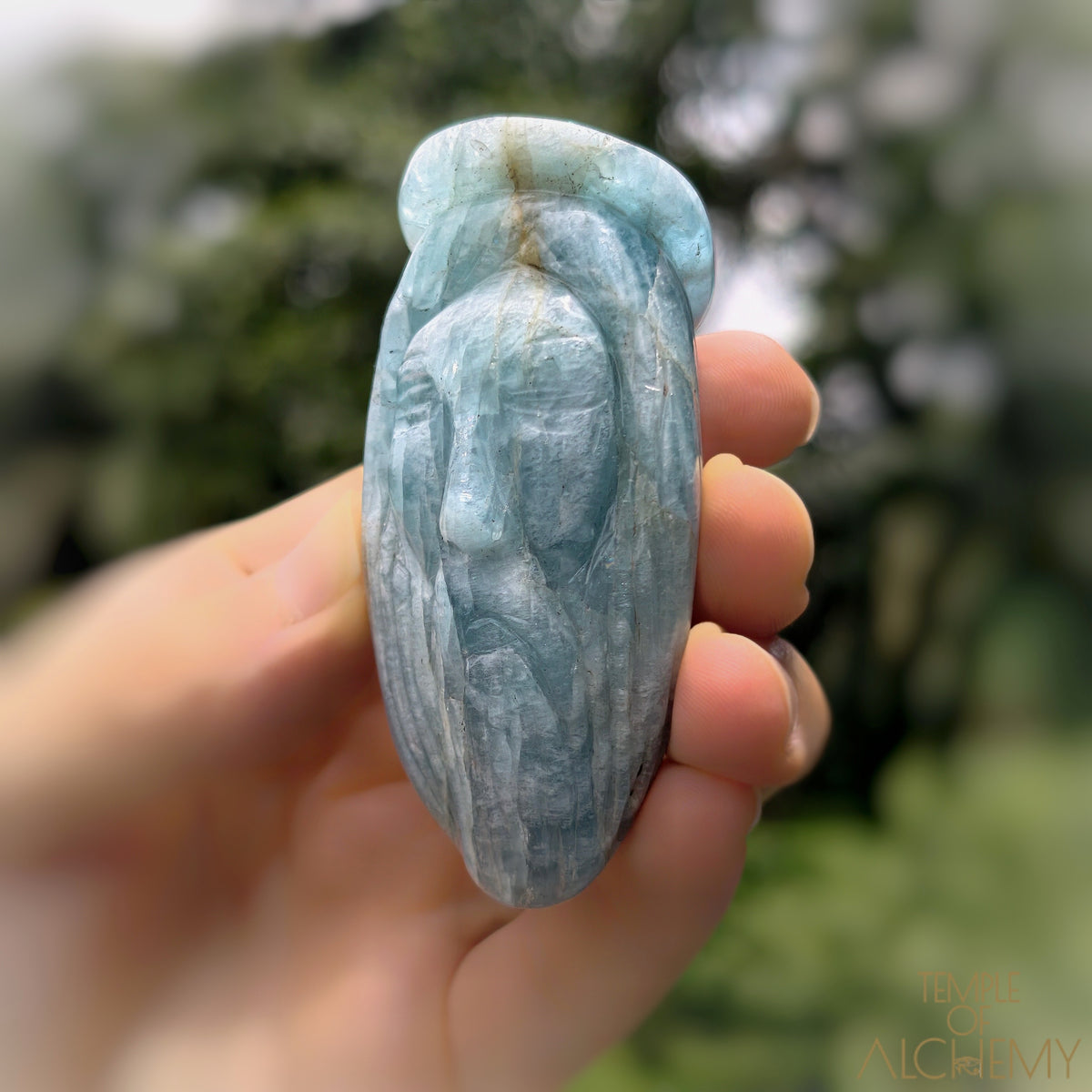 * Reserved C * Aquamarine