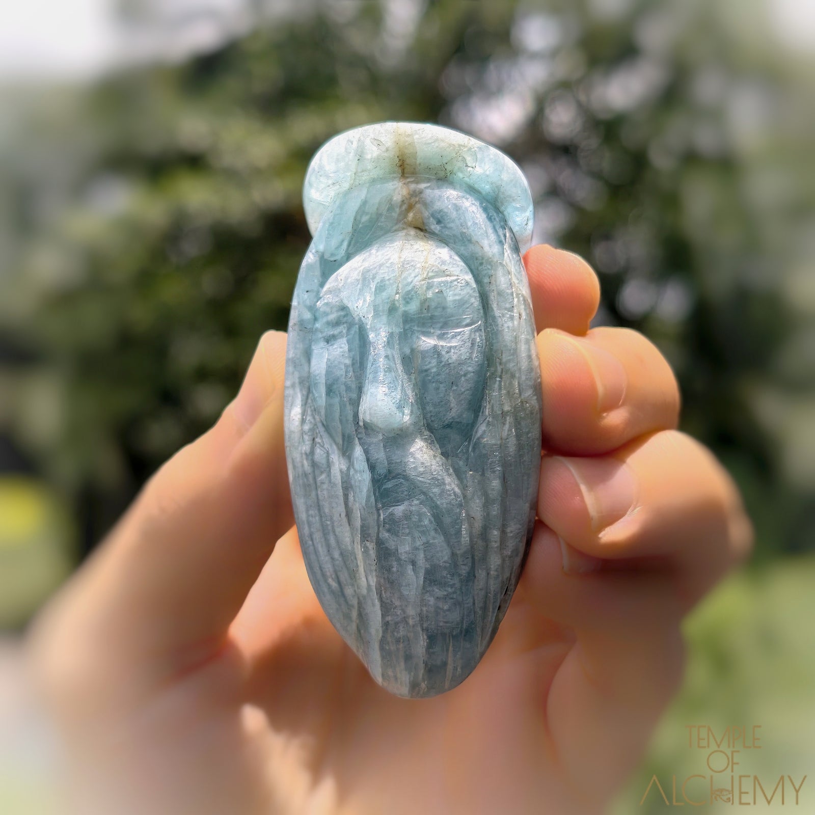 * Reserved C * Aquamarine
