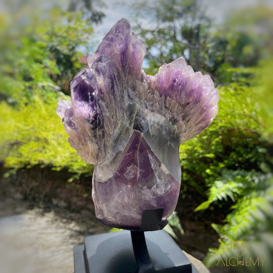 Naya 𓆃 Violet Flame Goddess of Renewal