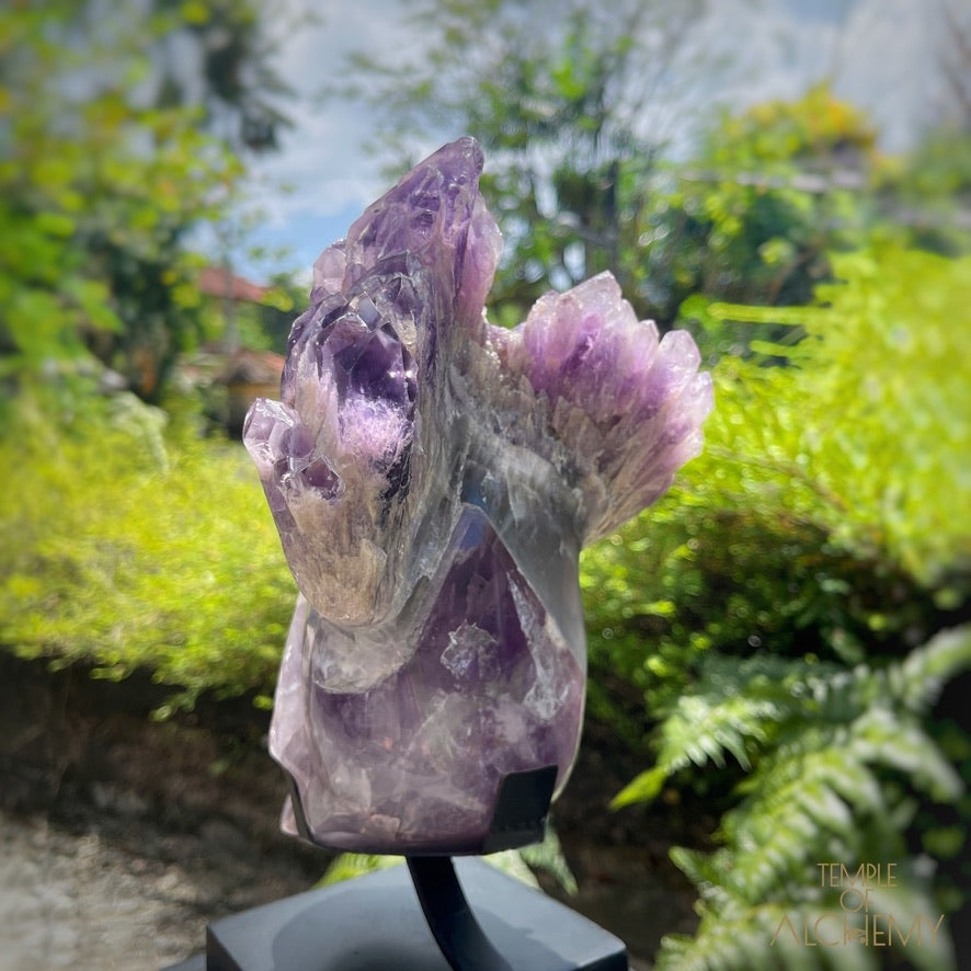 Naya 𓆃 Violet Flame Goddess of Renewal