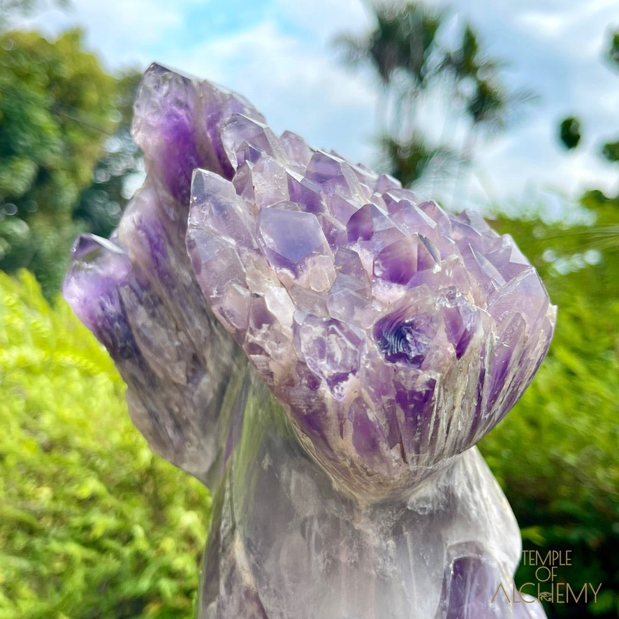 Naya 𓆃 Violet Flame Goddess of Renewal