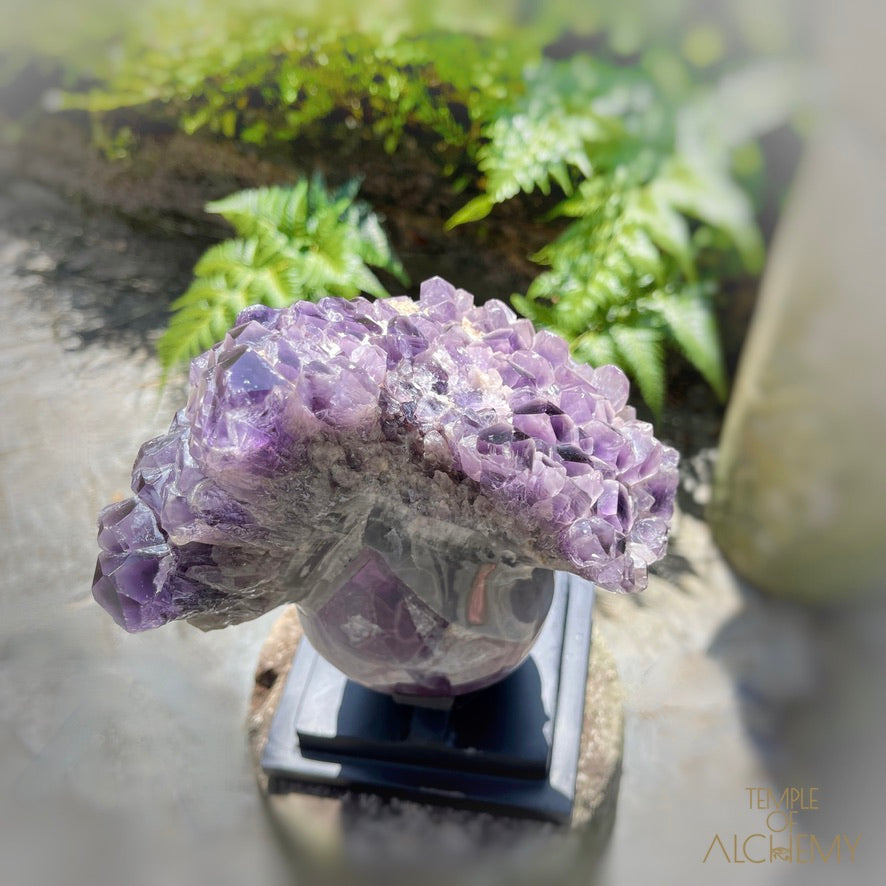 Naya 𓆃 Violet Flame Goddess of Renewal