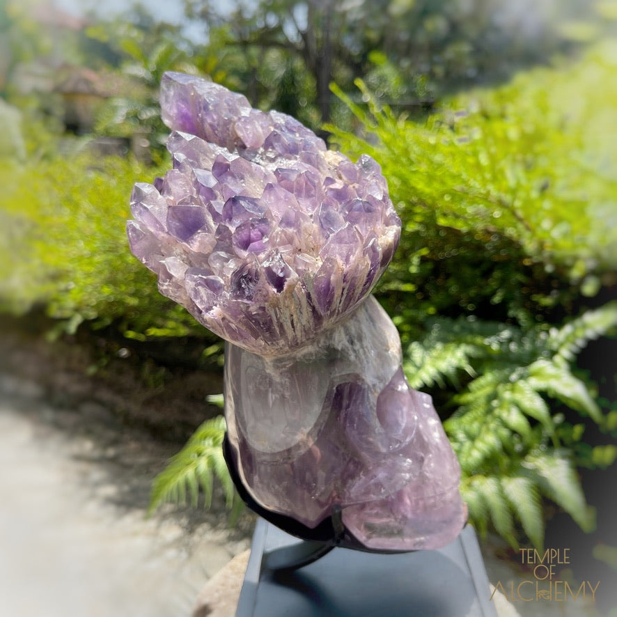 Naya 𓆃 Violet Flame Goddess of Renewal