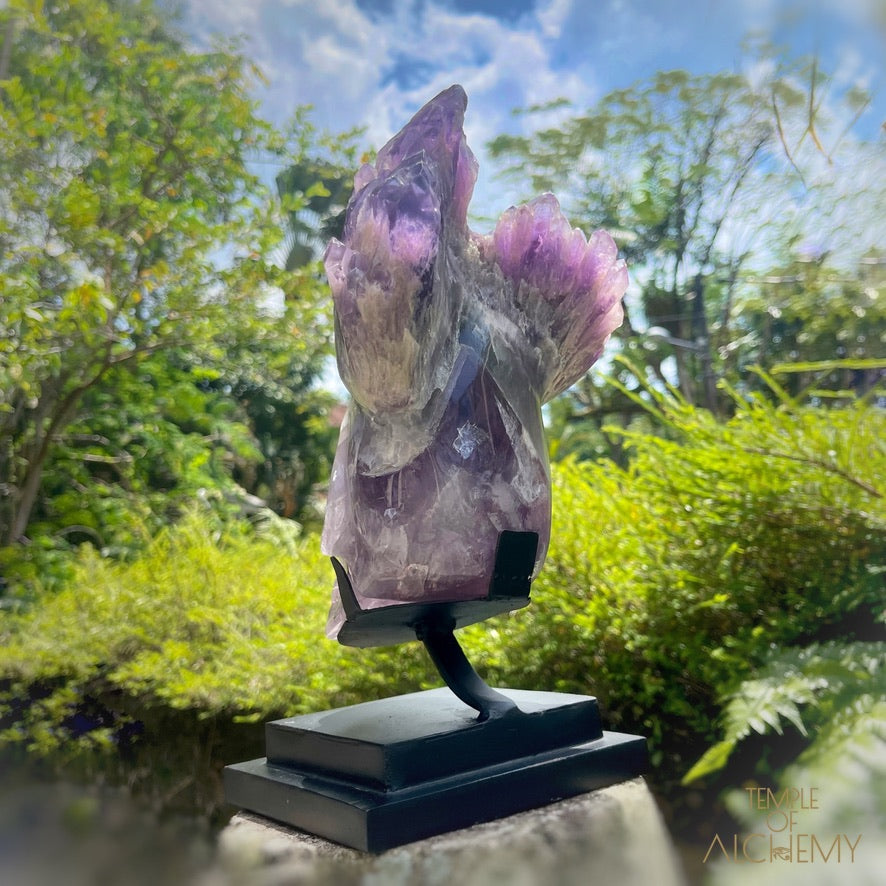 Naya 𓆃 Violet Flame Goddess of Renewal