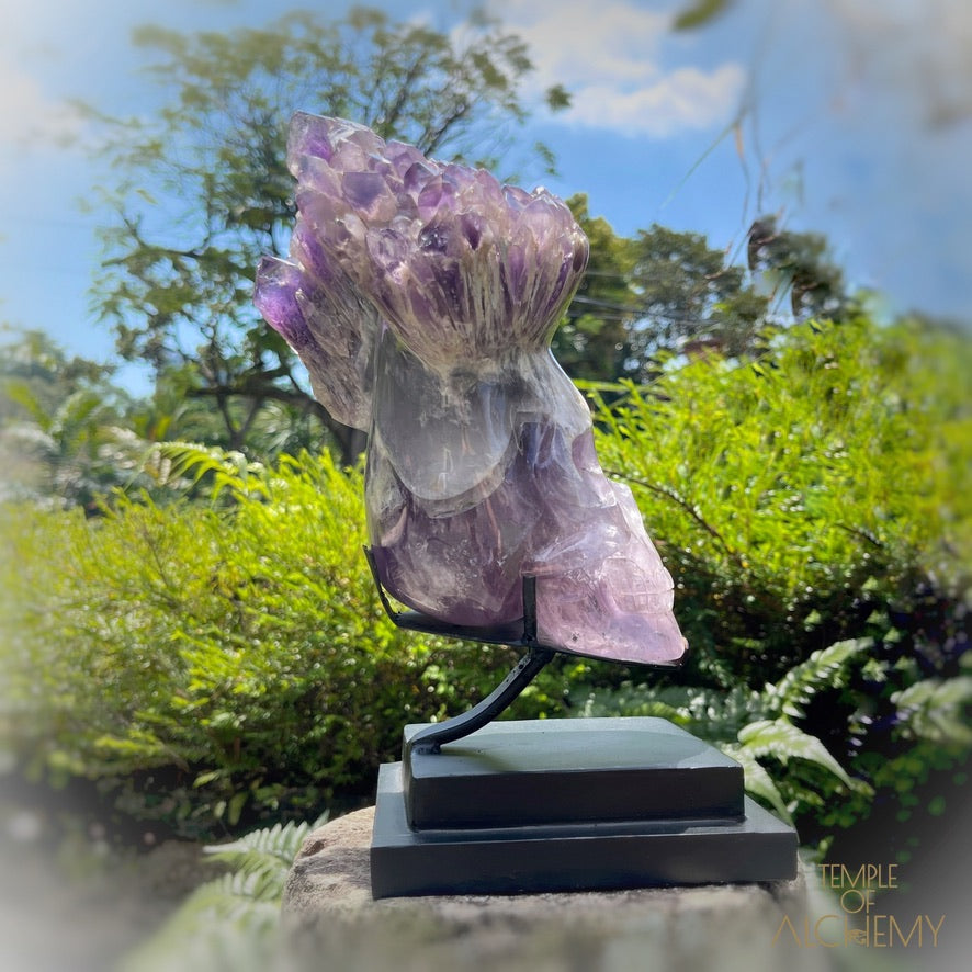 Naya 𓆃 Violet Flame Goddess of Renewal
