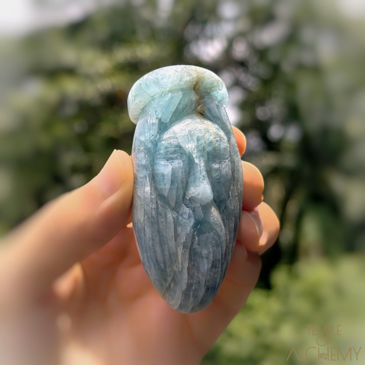 * Reserved C * Aquamarine