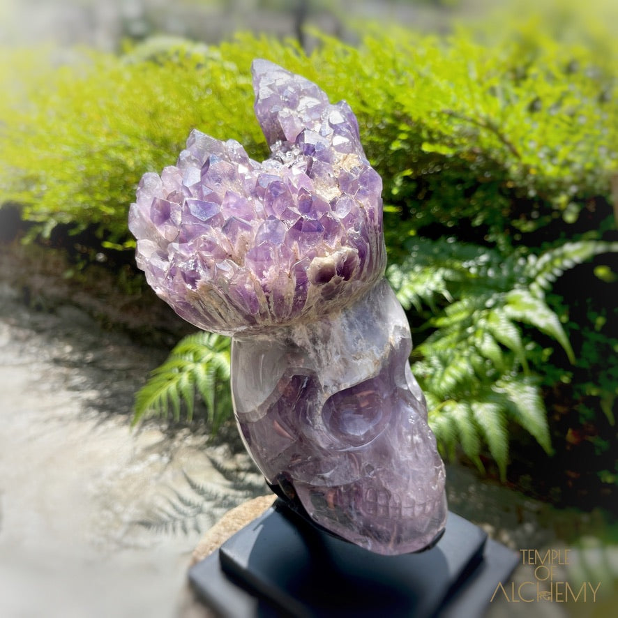 Naya 𓆃 Violet Flame Goddess of Renewal