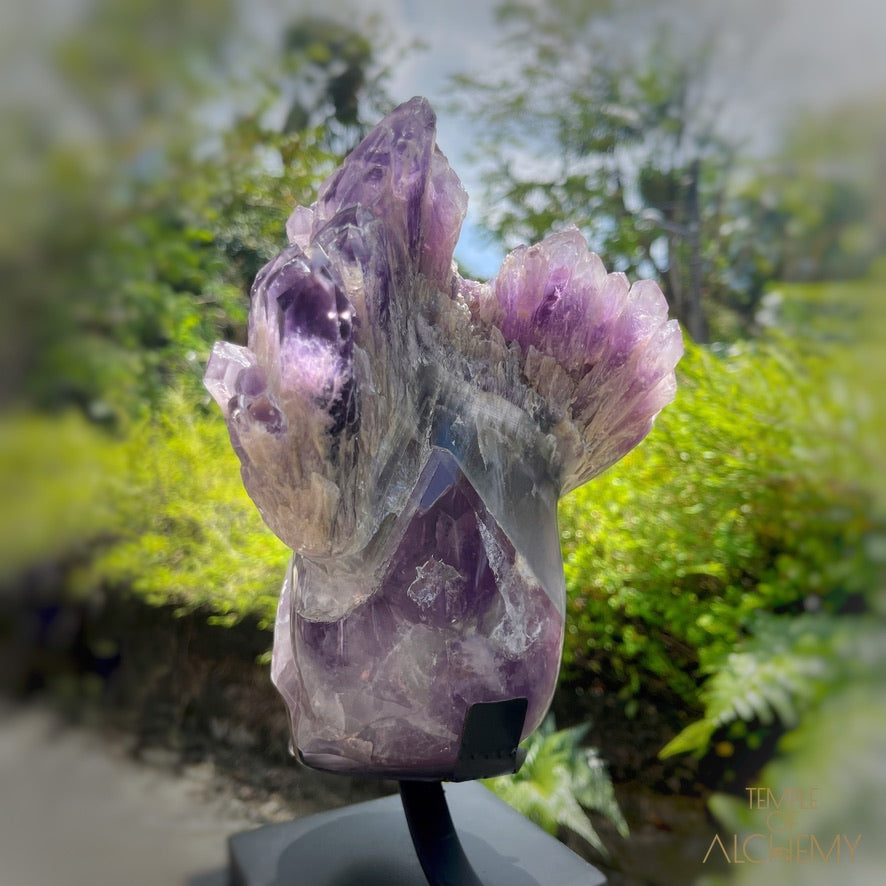 Naya 𓆃 Violet Flame Goddess of Renewal