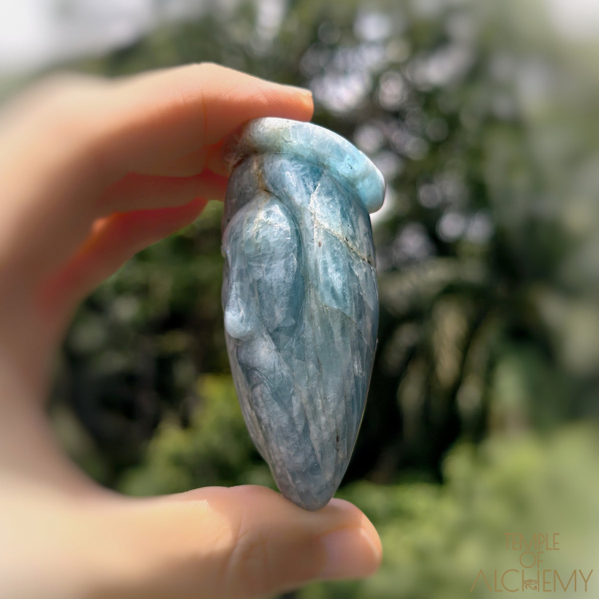 * Reserved C * Aquamarine