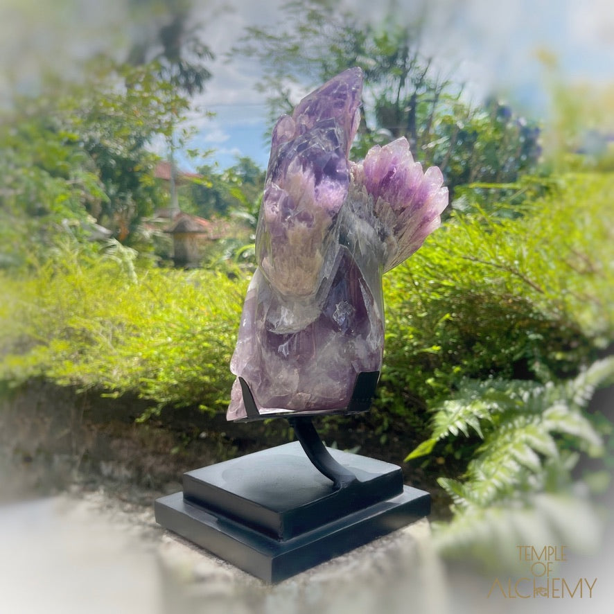 Naya 𓆃 Violet Flame Goddess of Renewal