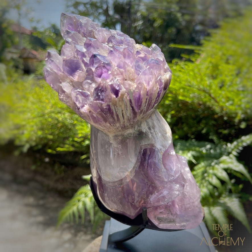 Naya 𓆃 Violet Flame Goddess of Renewal