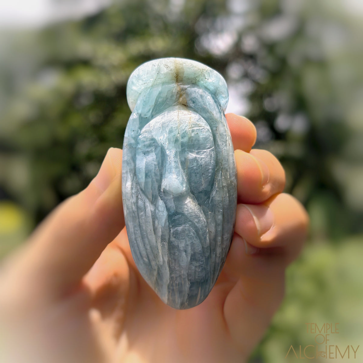 * Reserved C * Aquamarine