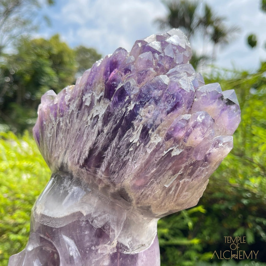 Naya 𓆃 Violet Flame Goddess of Renewal