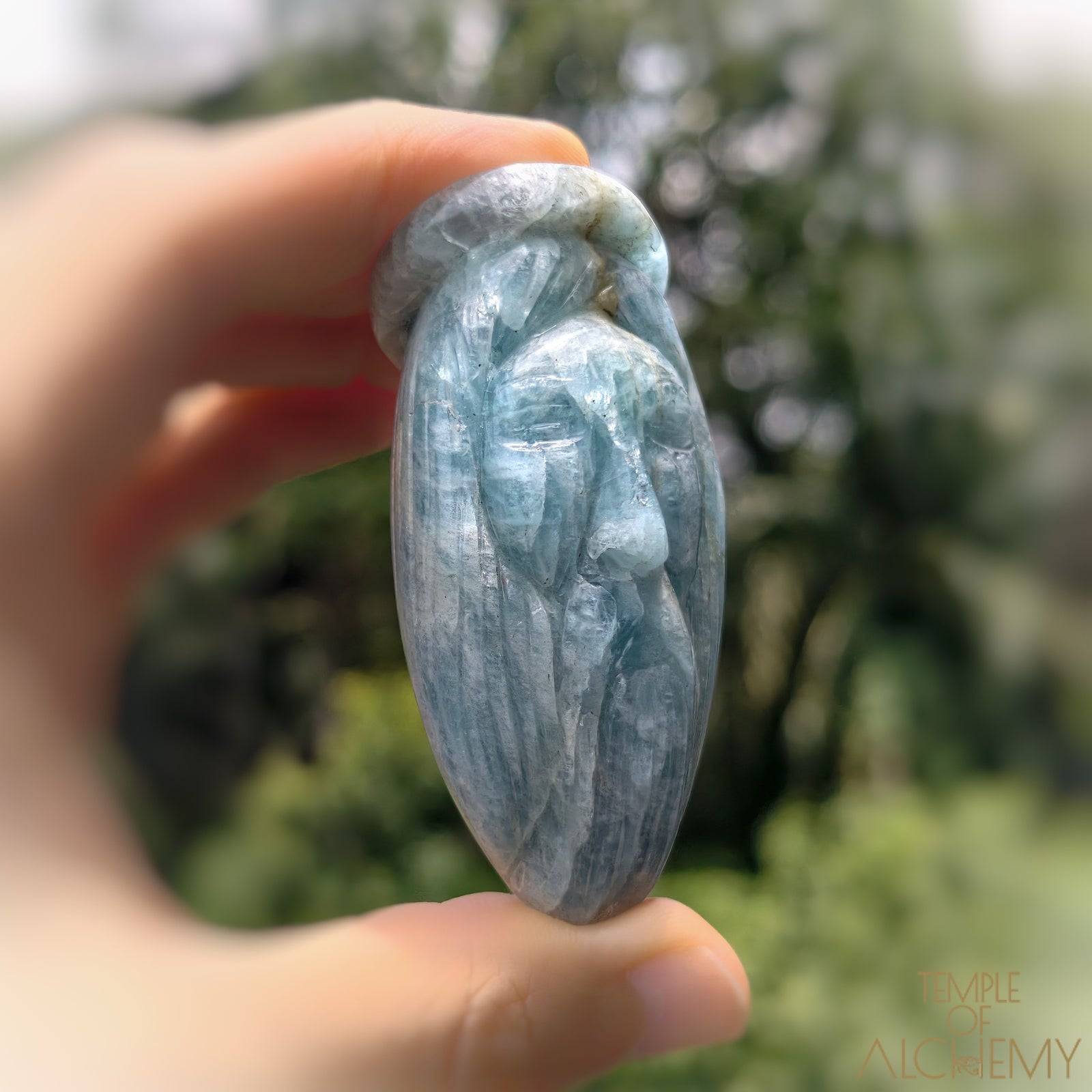 * Reserved C * Aquamarine