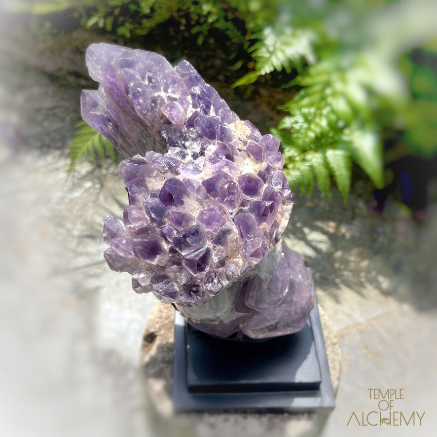 Naya 𓆃 Violet Flame Goddess of Renewal