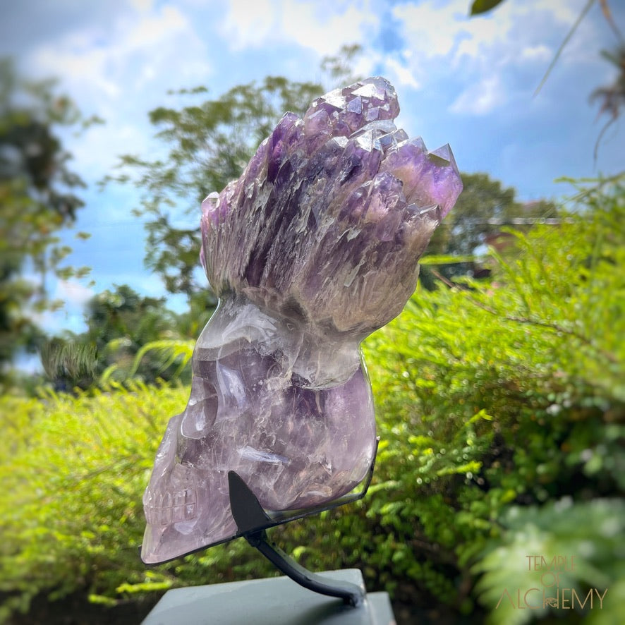 Naya 𓆃 Violet Flame Goddess of Renewal