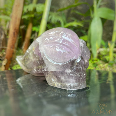 Amethyst + Phantoms