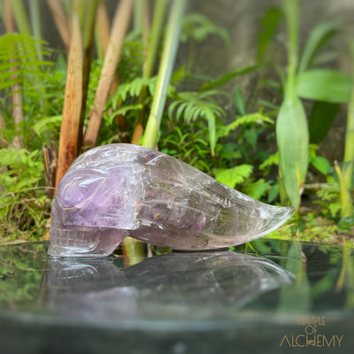 Amethyst + Phantoms