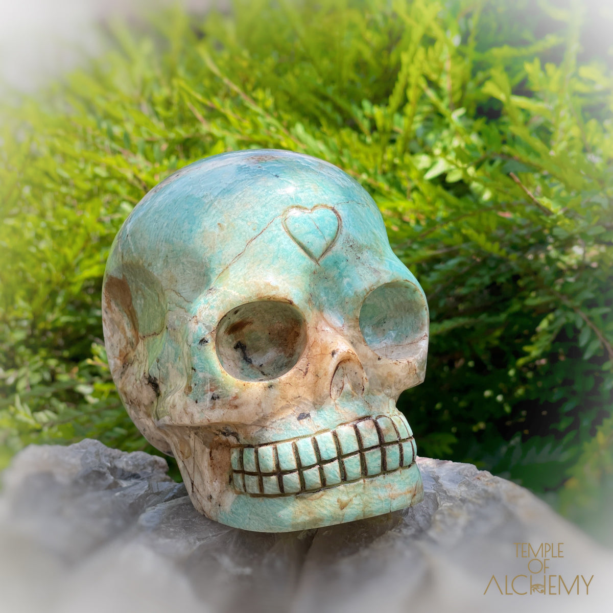 Amazonite x Black Tourmaline